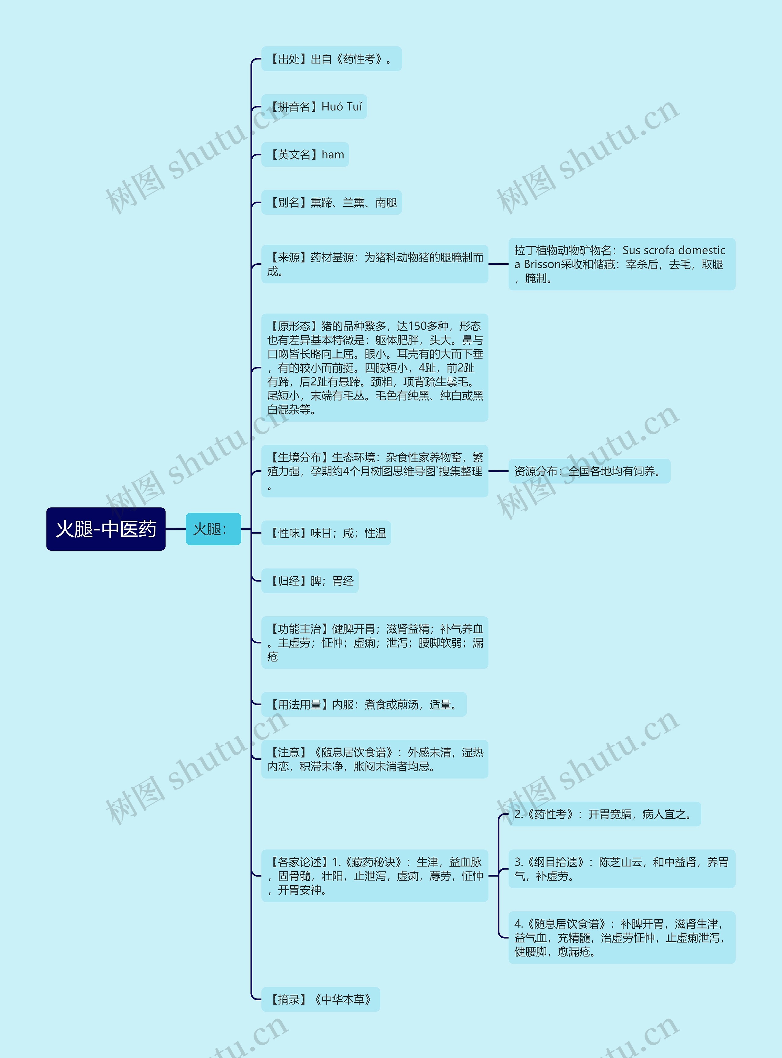 火腿-中医药 火腿-中医药