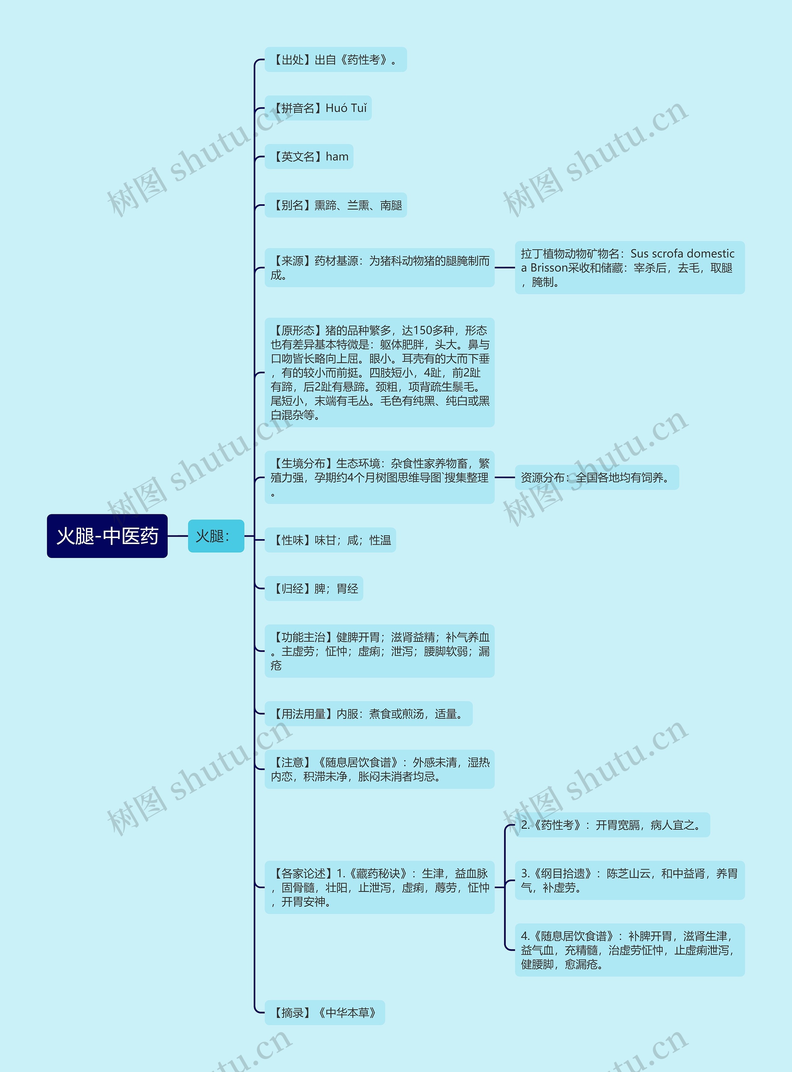 火腿-中医药思维导图