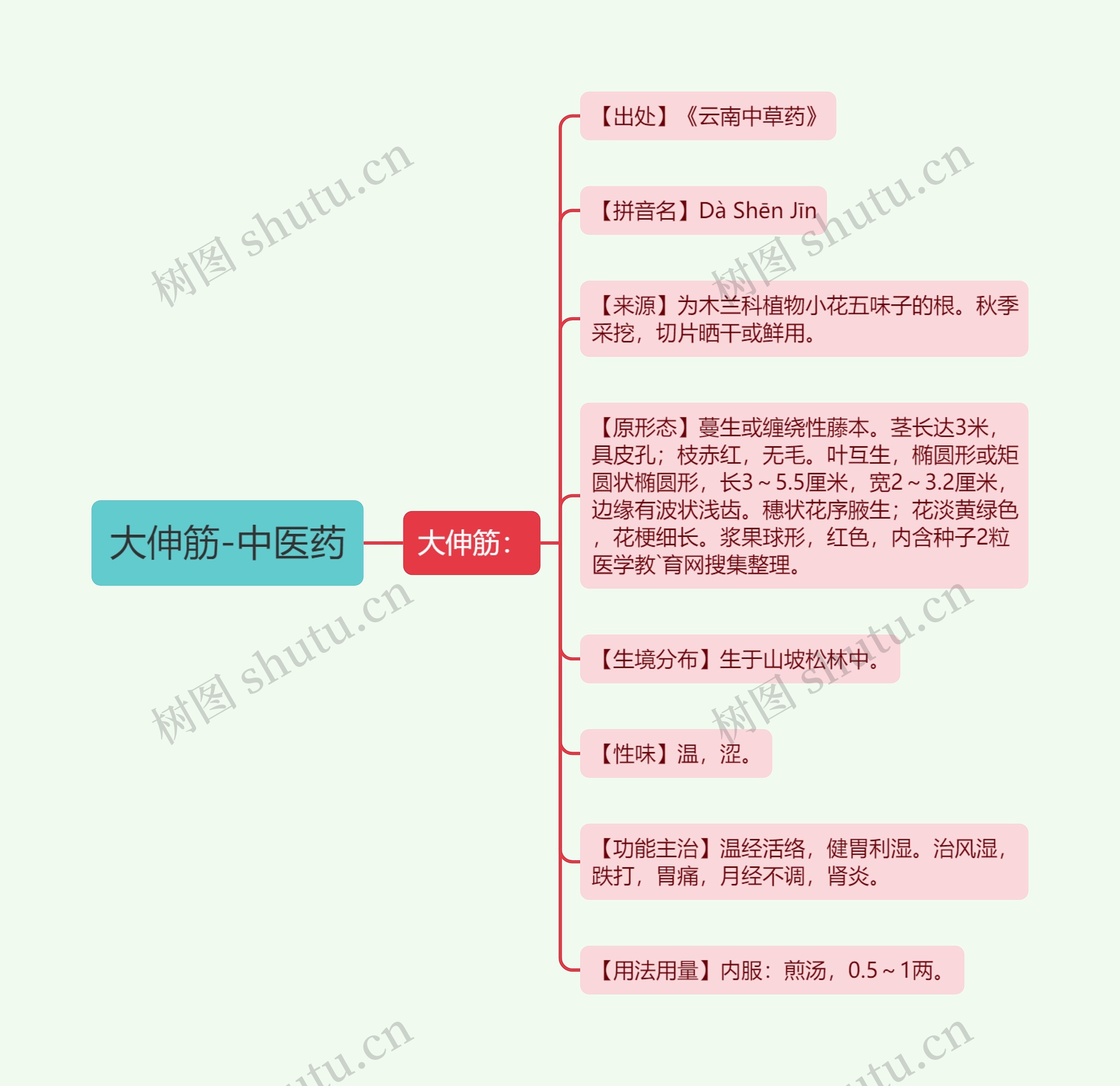 大伸筋-中医药思维导图