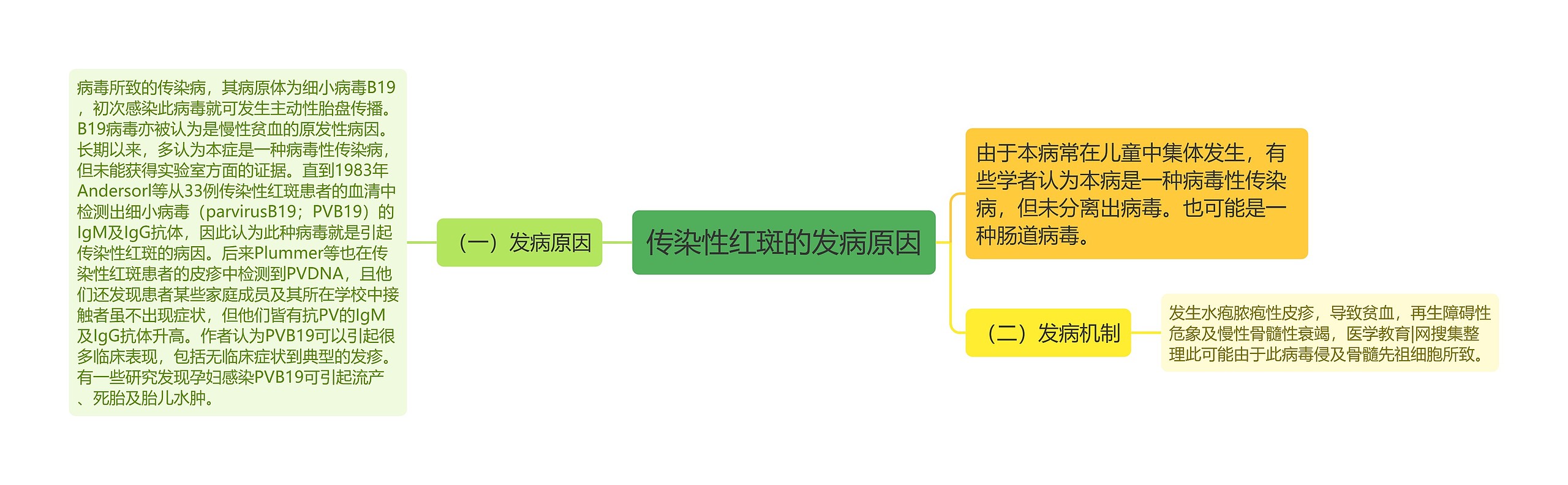 传染性红斑的发病原因 传染性红斑的发病原因