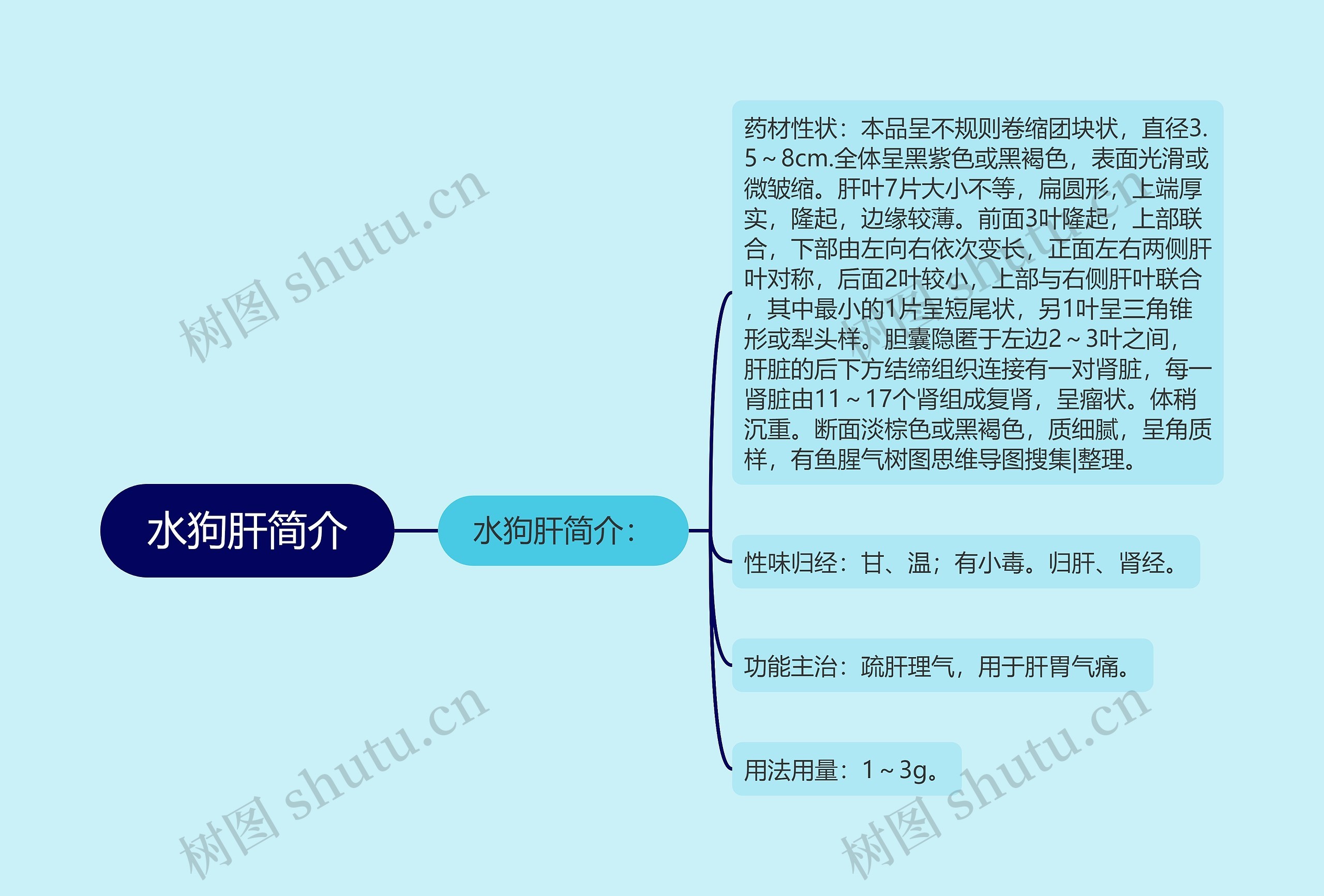 水狗肝简介 水狗肝简介