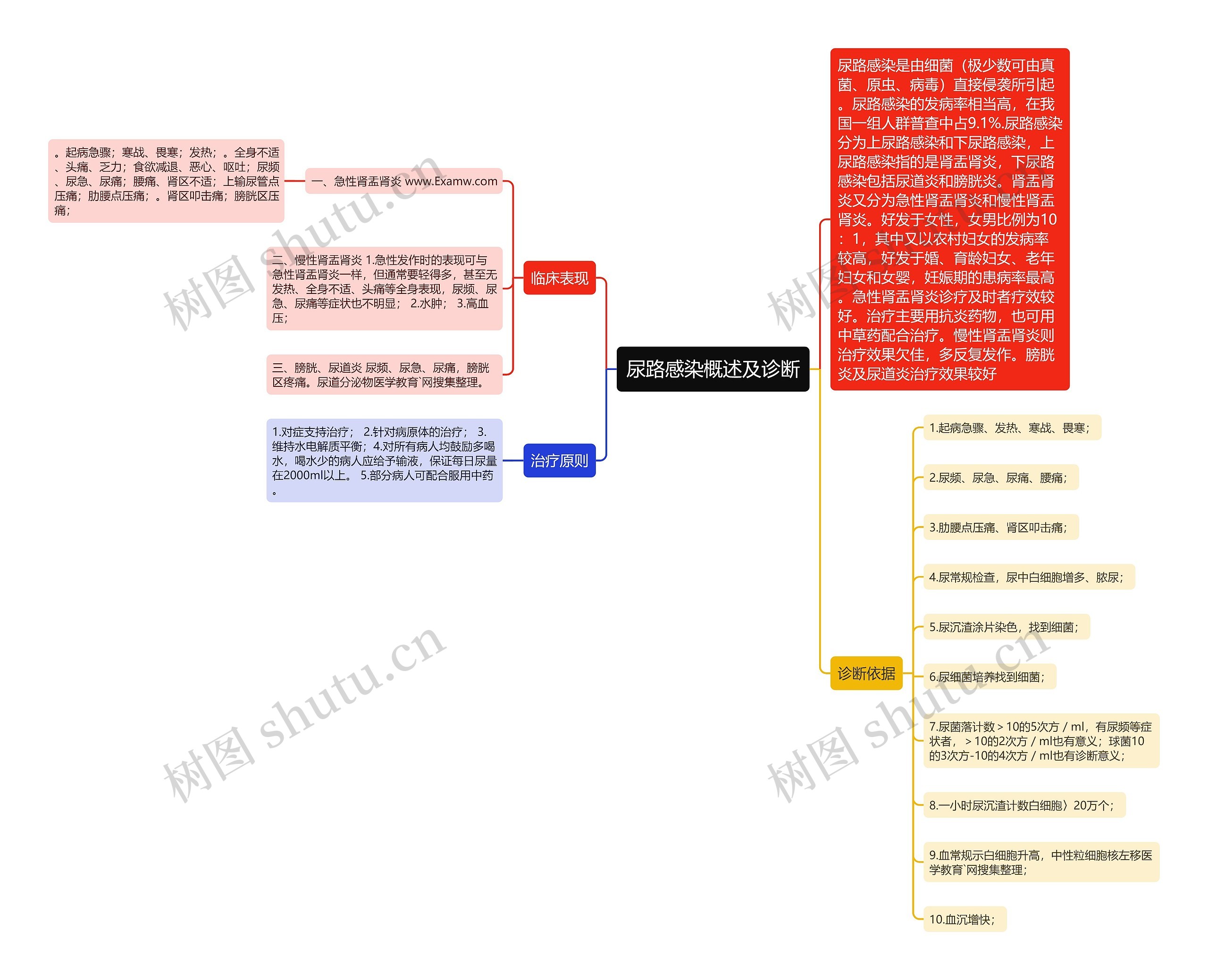 尿路感染概述及诊断