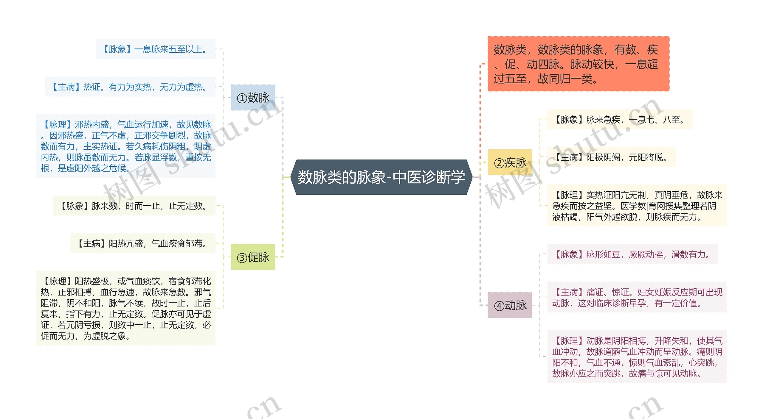 数脉类的脉象-中医诊断学