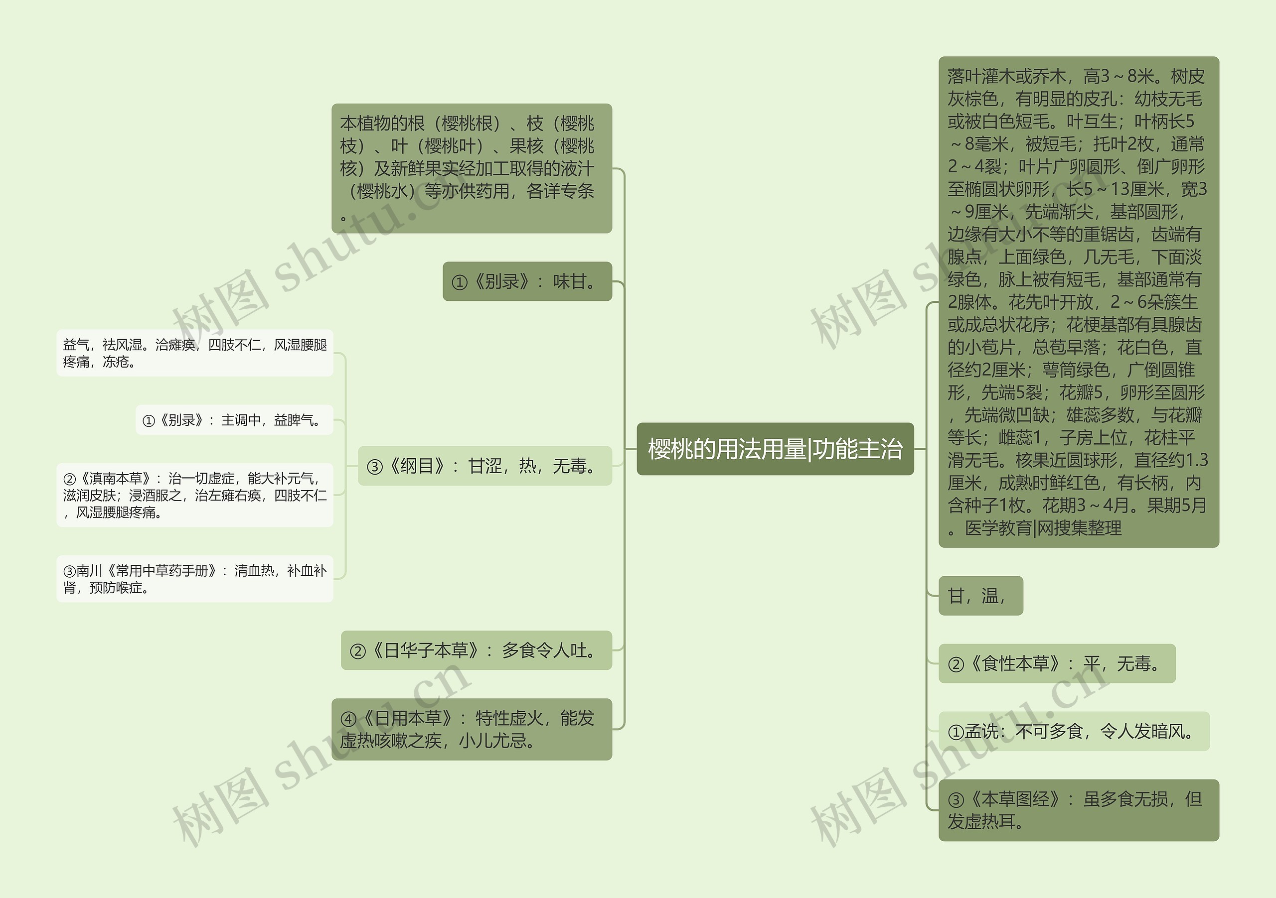 樱桃的用法用量|功能主治 樱桃的用法用量|功能主治