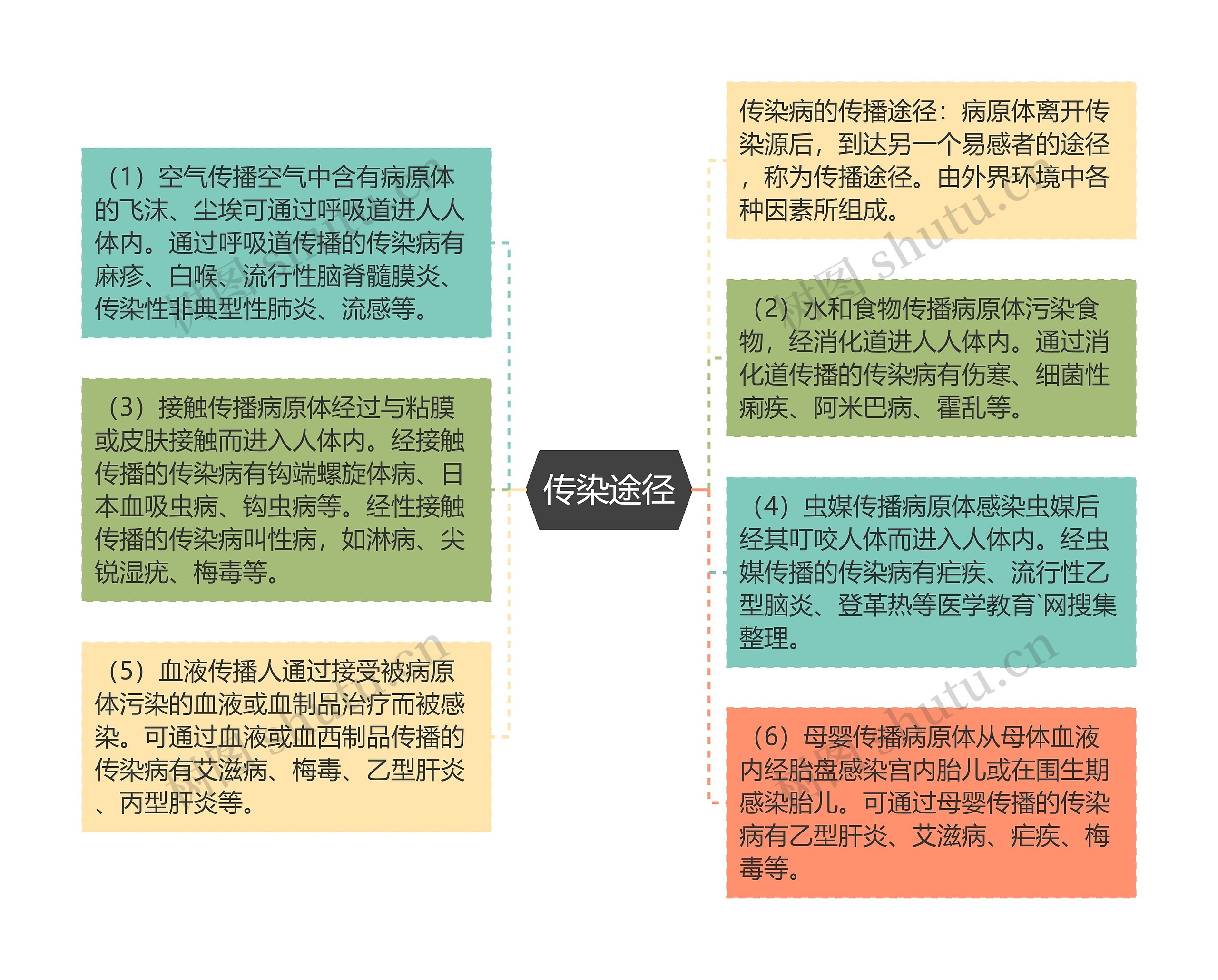 传染途径思维导图