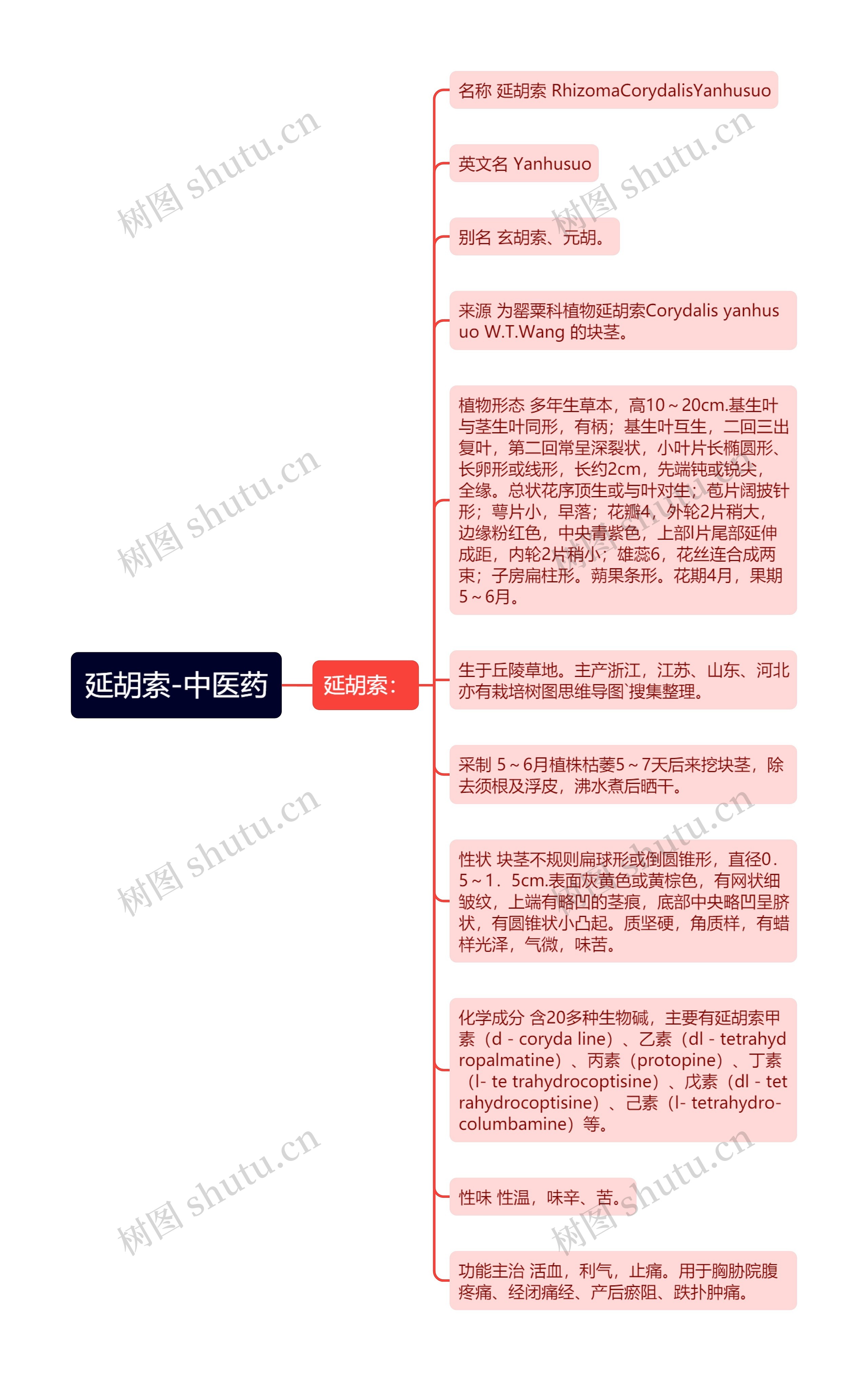 延胡索-中医药思维导图