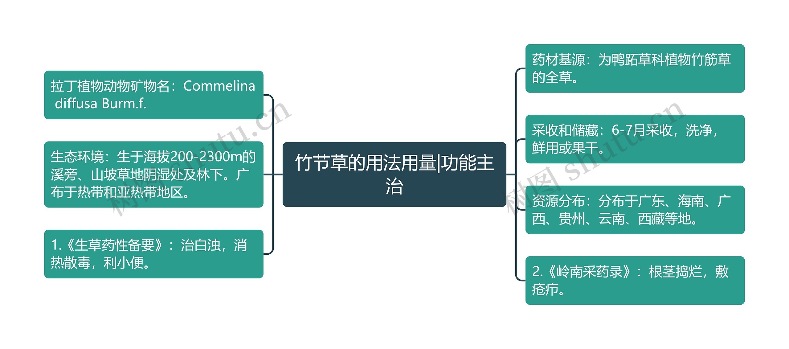 竹节草的用法用量|功能主治