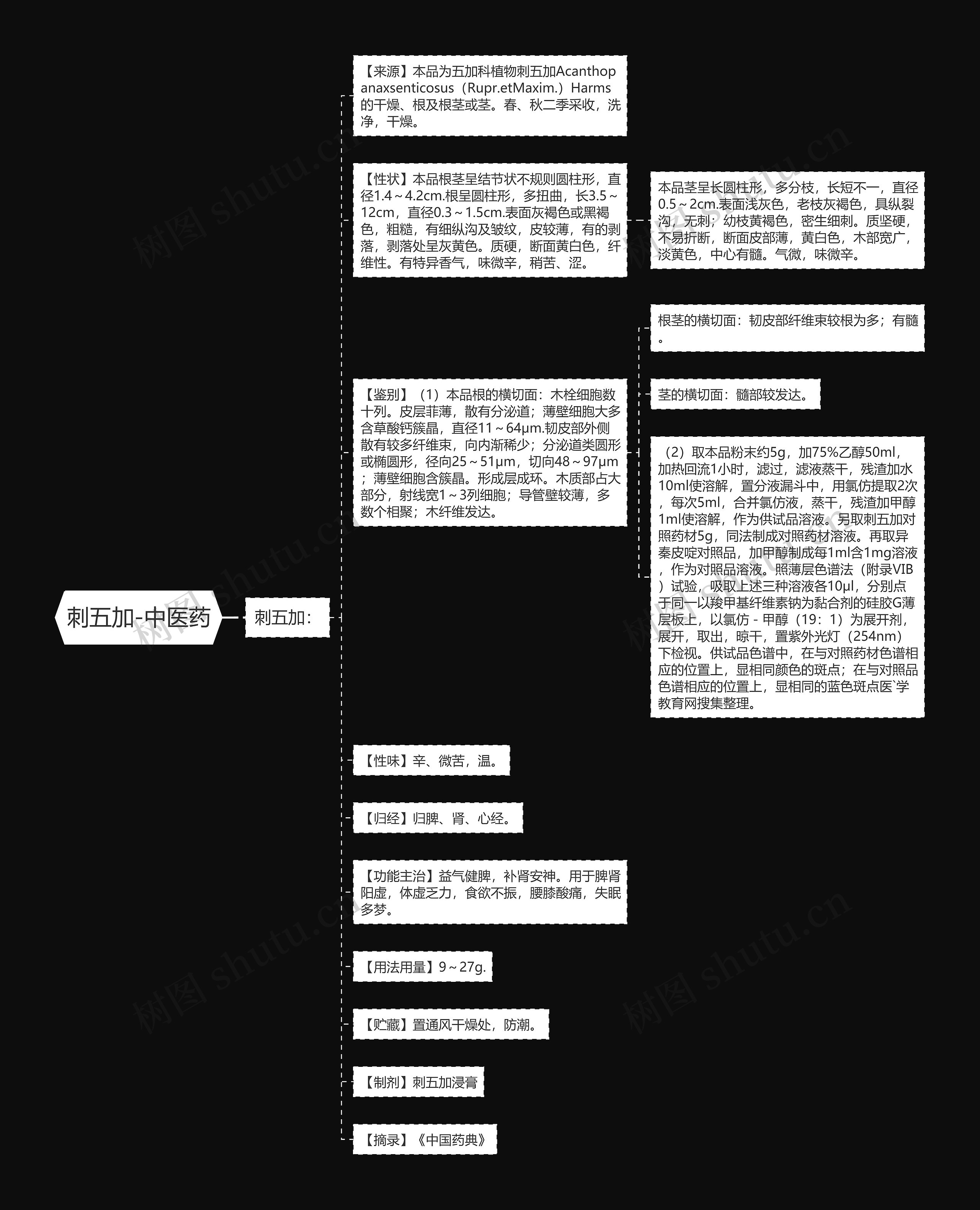 刺五加-中医药思维导图