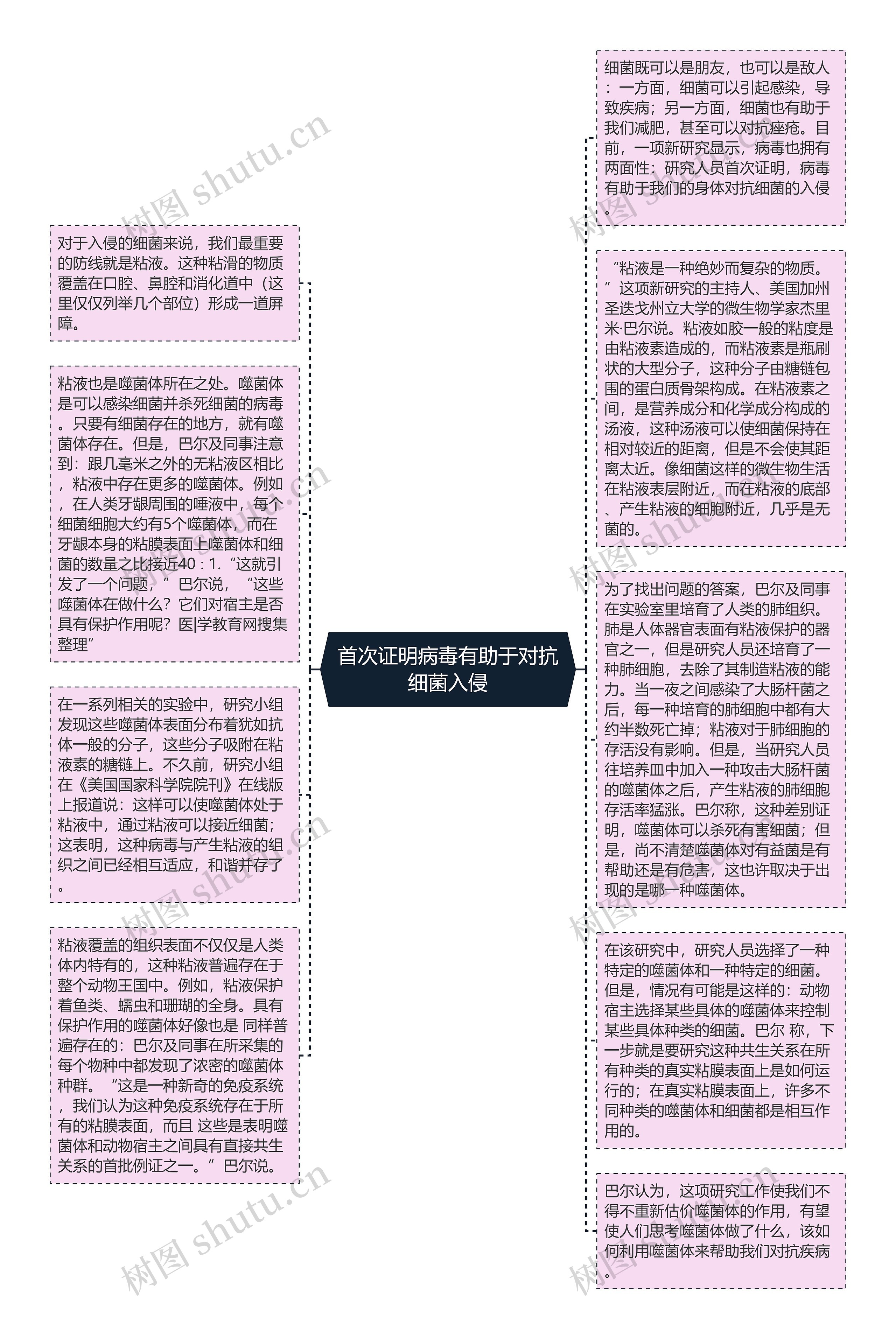 首次证明病毒有助于对抗细菌入侵思维导图