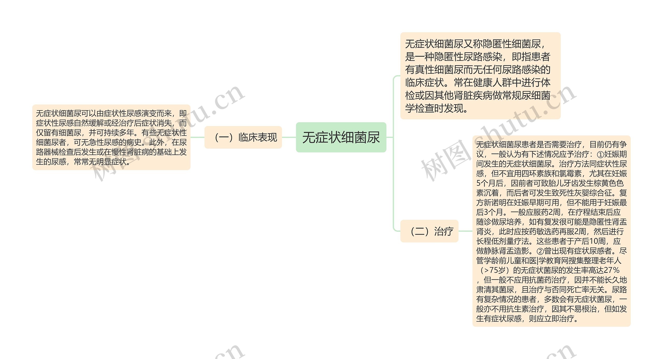 无症状细菌尿思维导图