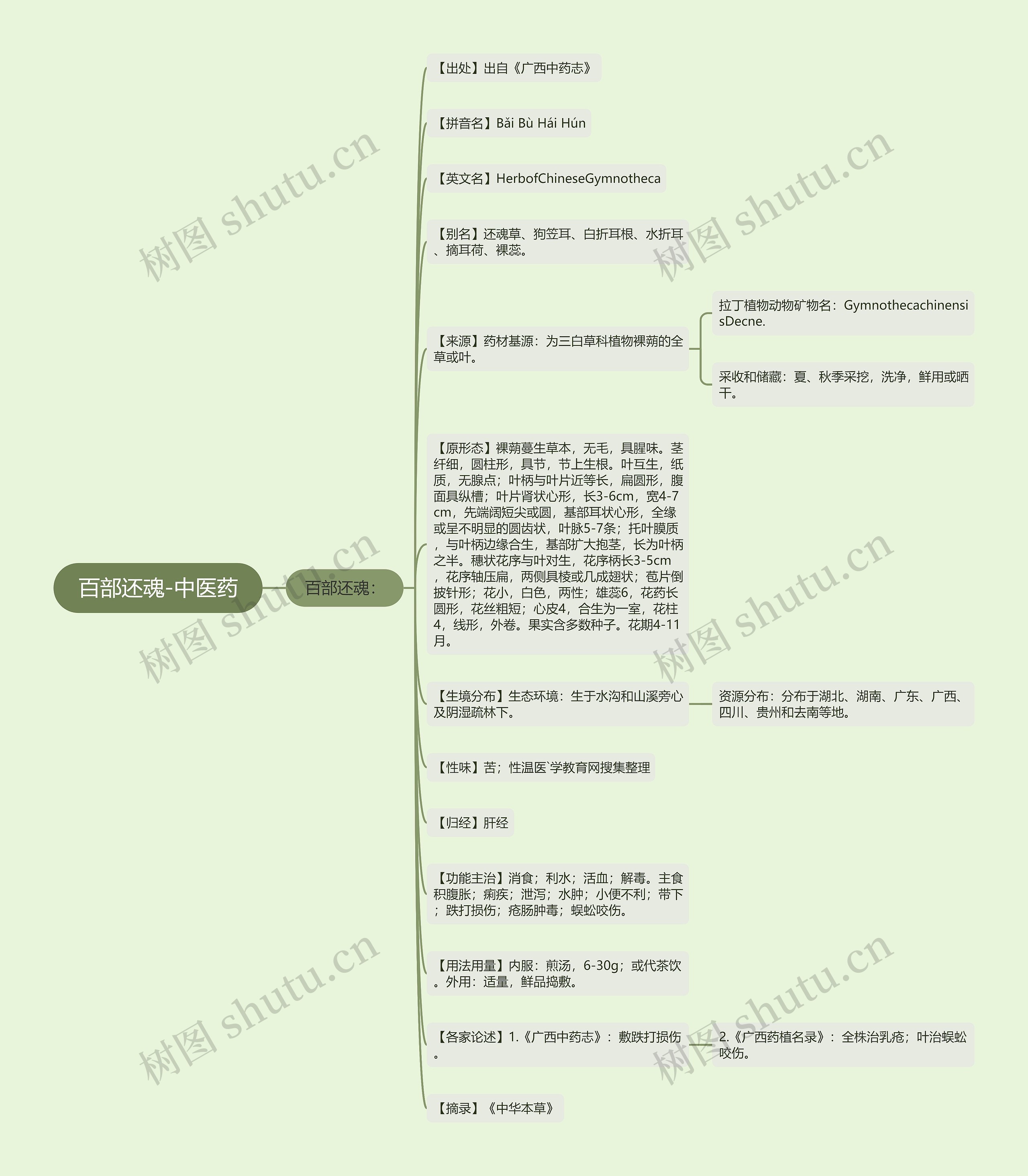 百部还魂-中医药 百部还魂-中医药