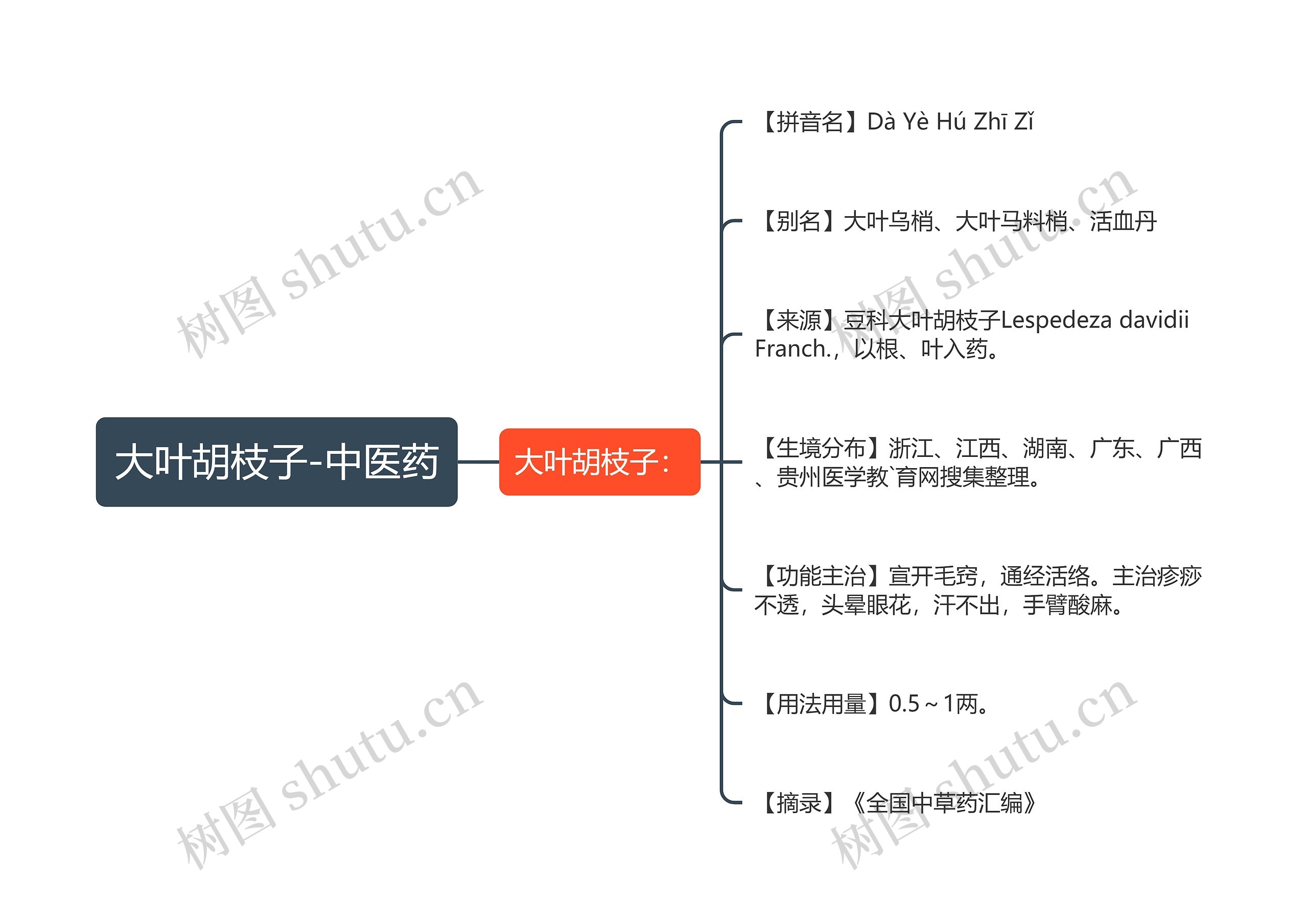 大叶胡枝子-中医药思维导图