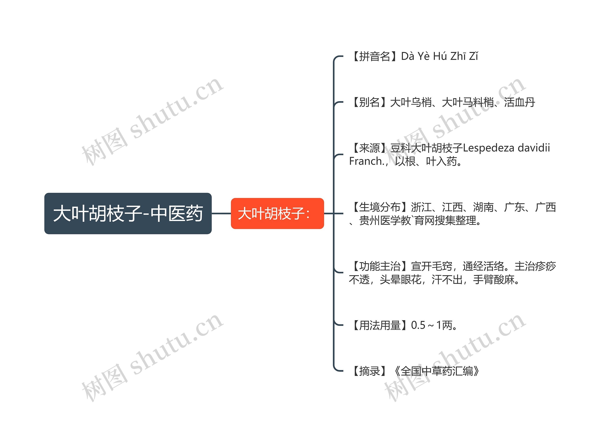 大叶胡枝子-中医药 大叶胡枝子-中医药