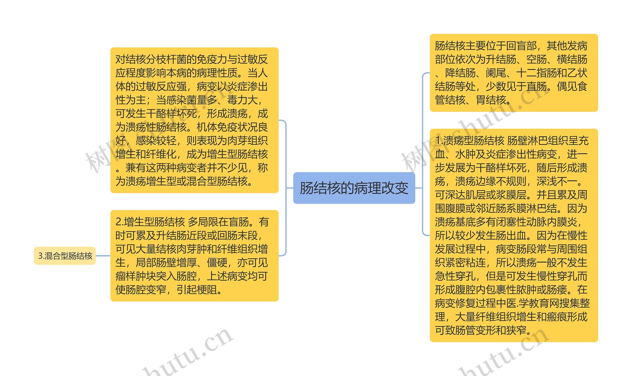 肠结核的病理改变思维导图