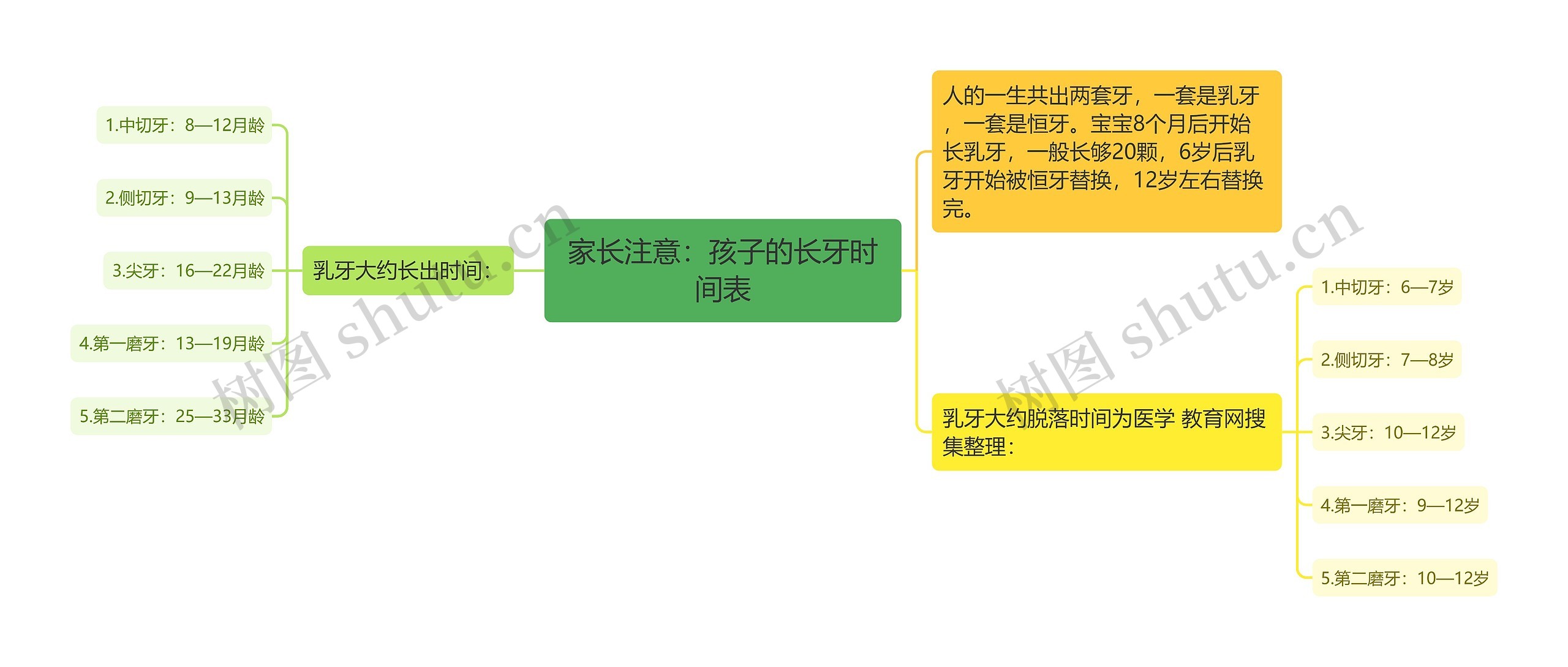 家长注意：孩子的长牙时间表思维导图