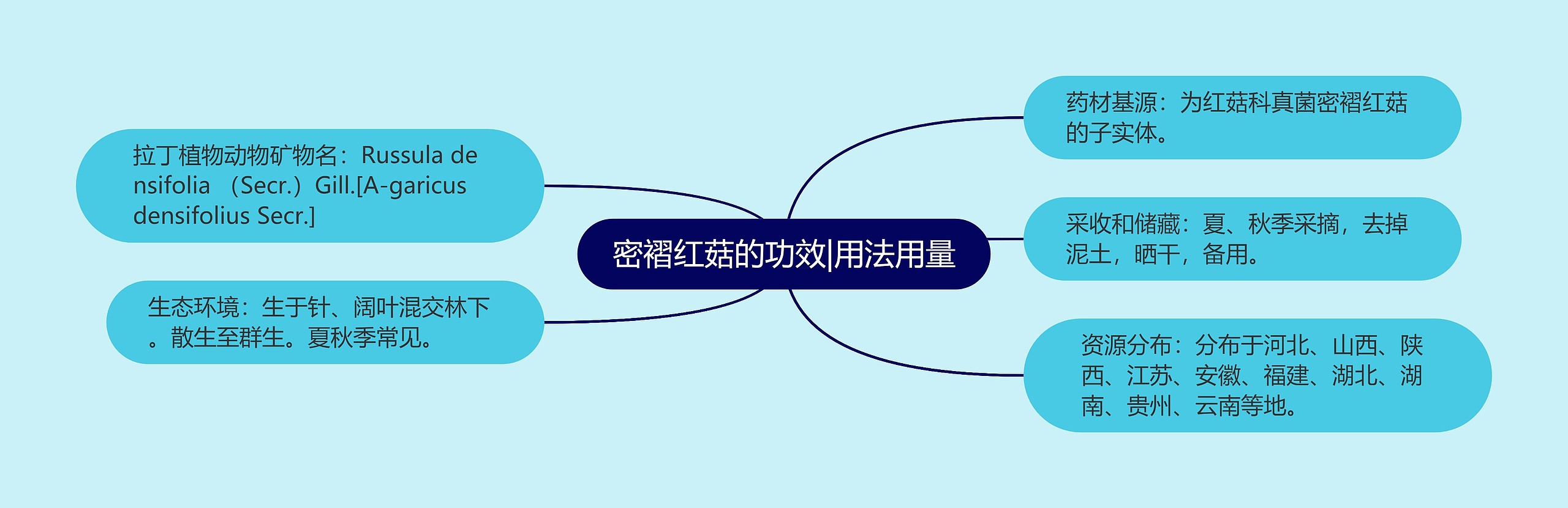 密褶红菇的功效|用法用量 密褶红菇的功效|用法用量