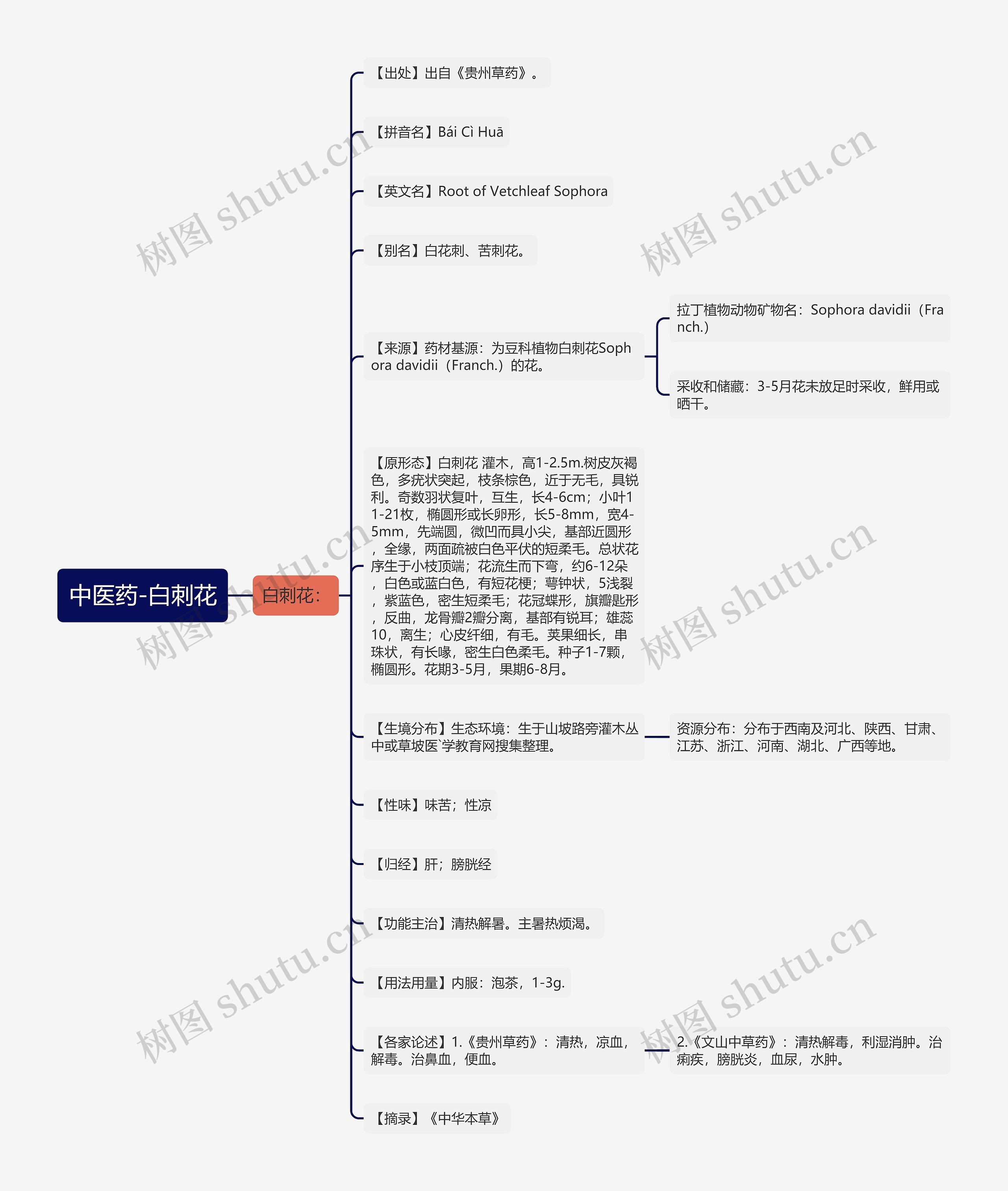 中医药-白刺花思维导图