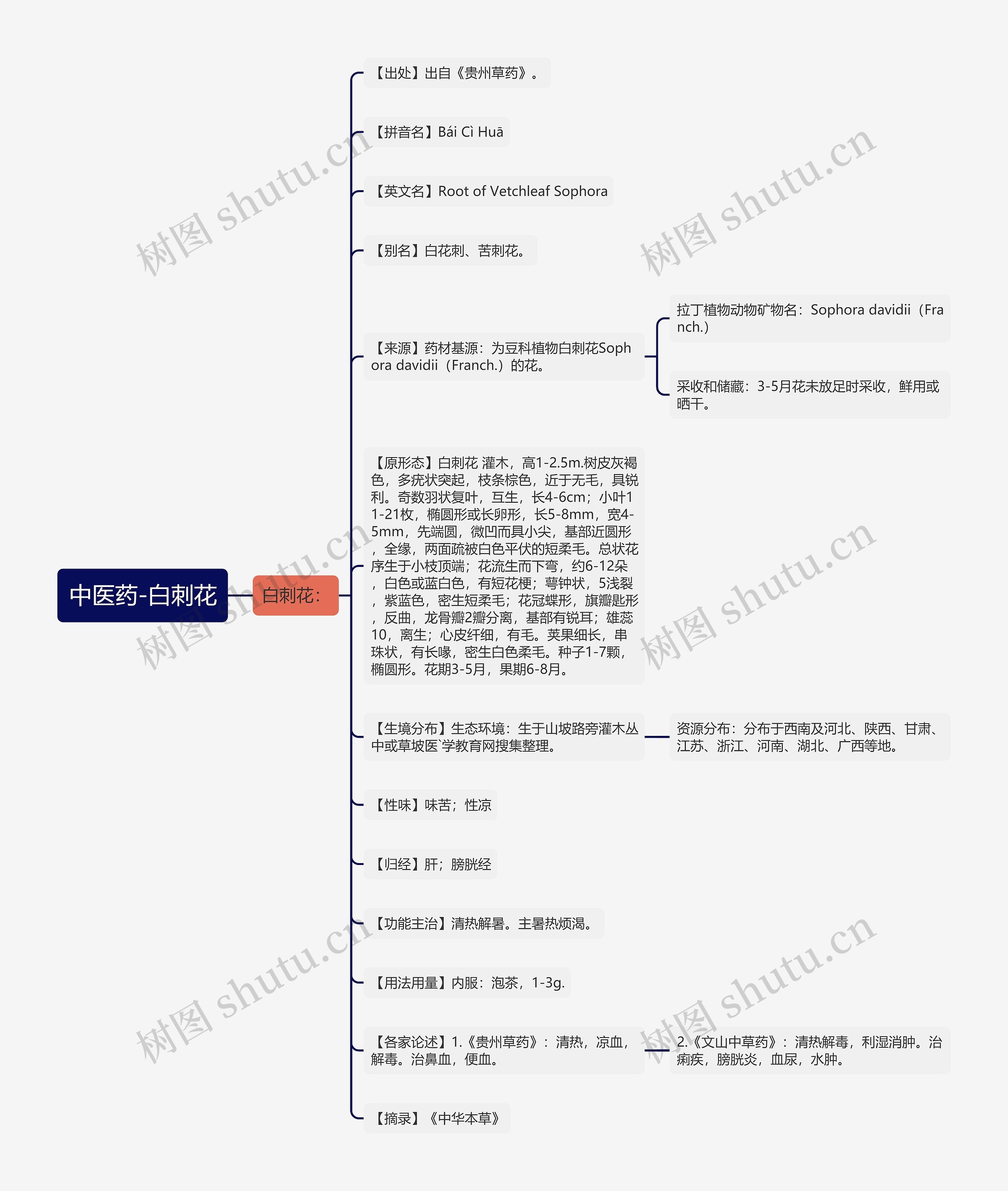 中医药-白刺花 中医药-白刺花
