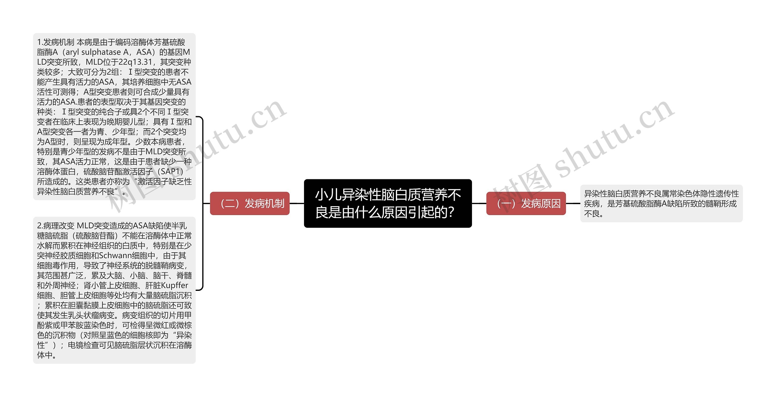 小儿异染性脑白质营养不良是由什么原因引起的？