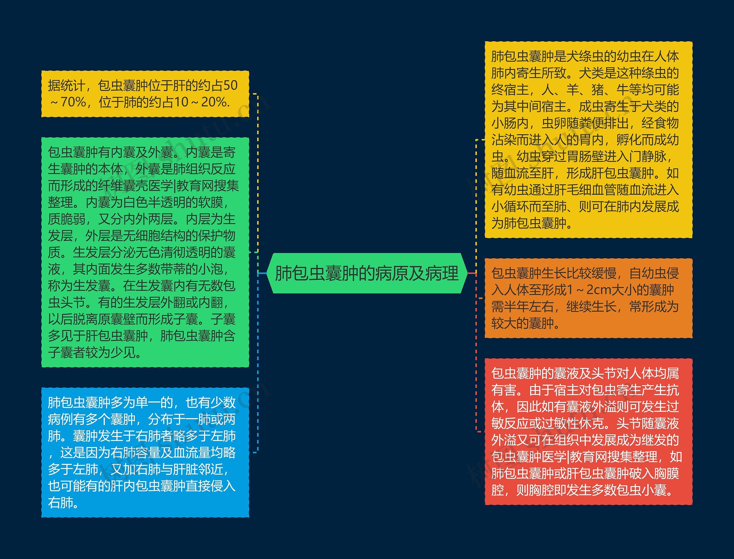 肺包虫囊肿的病原及病理