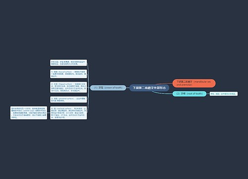 下颌第二前磨牙外部形态