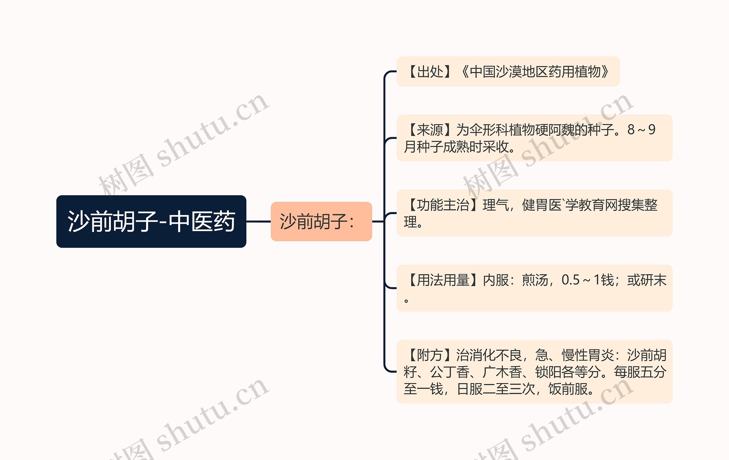 沙前胡子-中医药思维导图