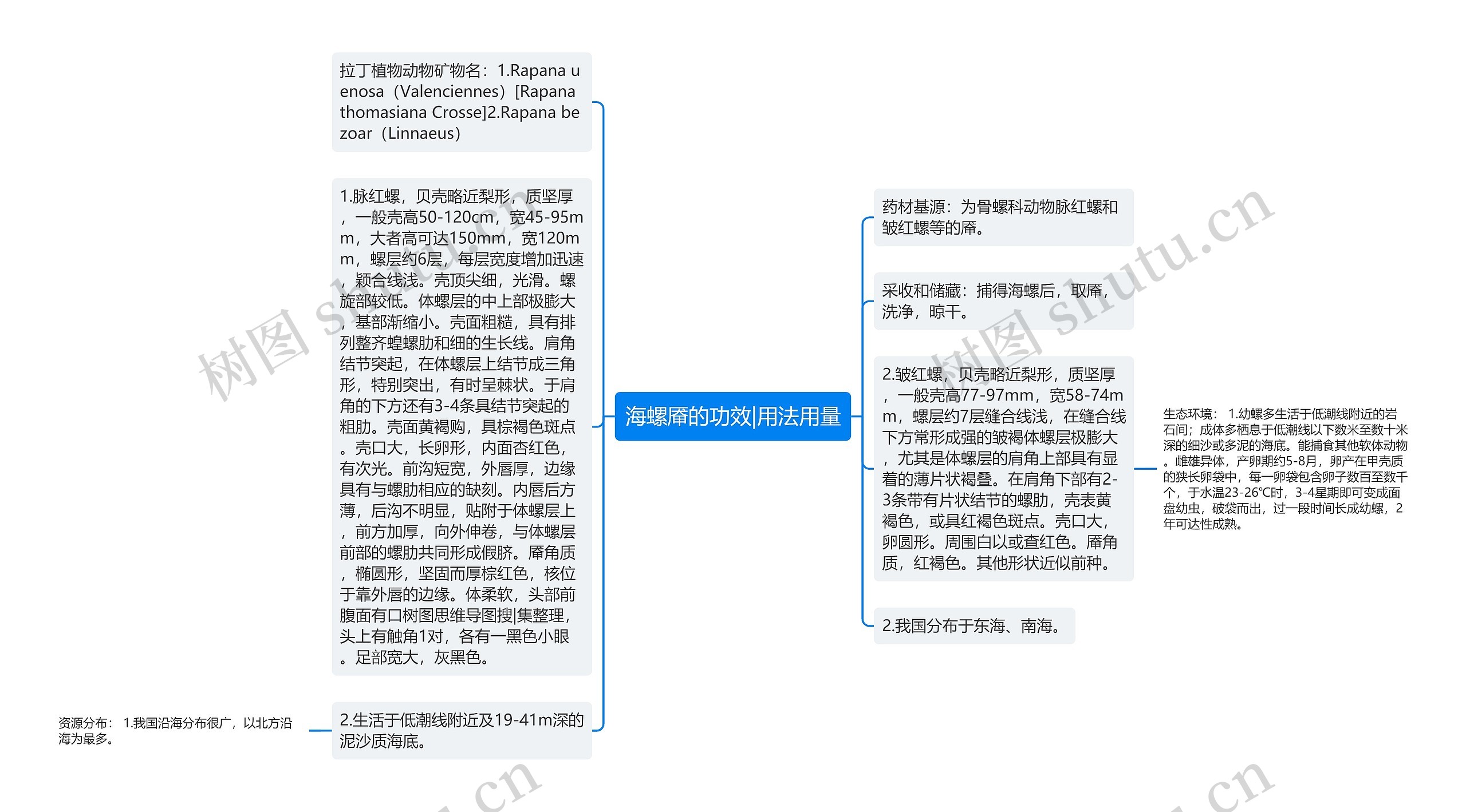 海螺厣的功效|用法用量思维导图