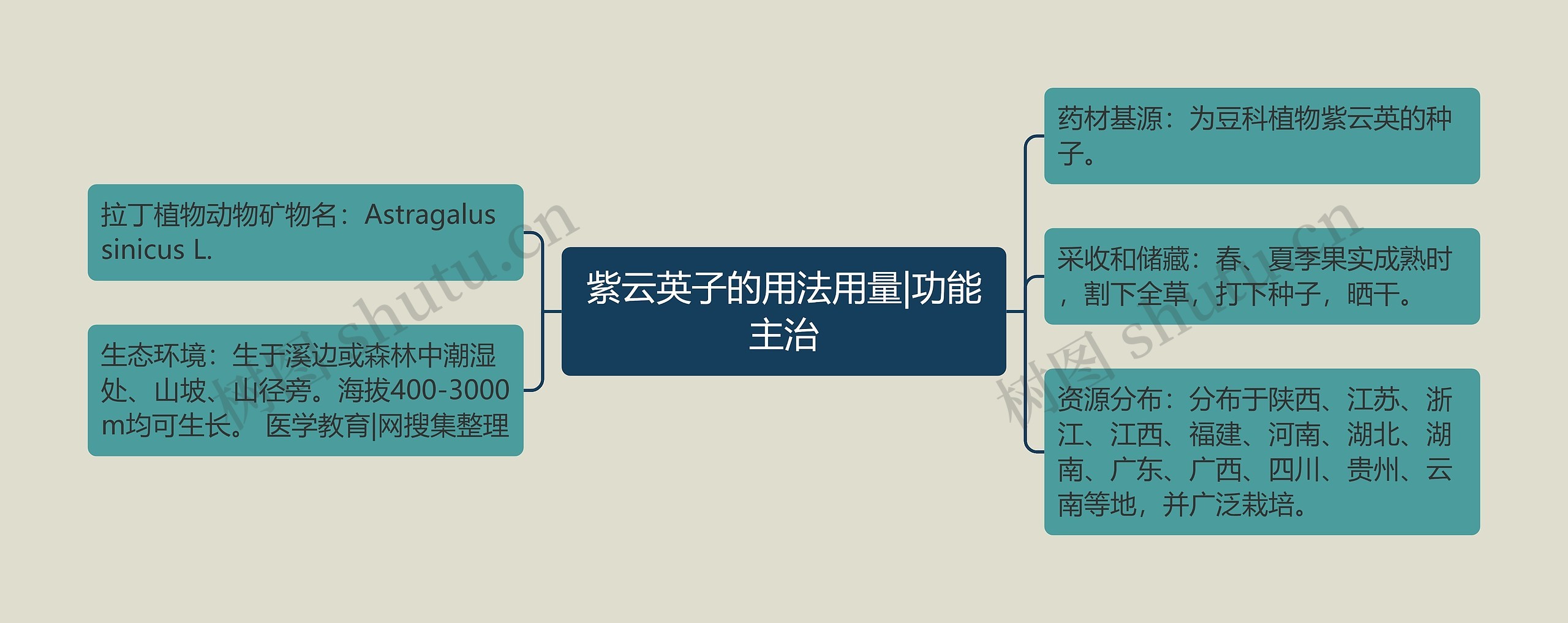 紫云英子的用法用量|功能主治