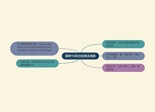 黑牵牛的功效|用法用量