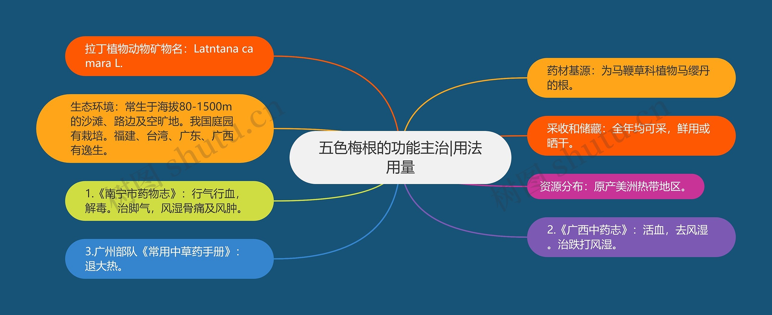 五色梅根的功能主治|用法用量 五色梅根的功能主治|用法用量