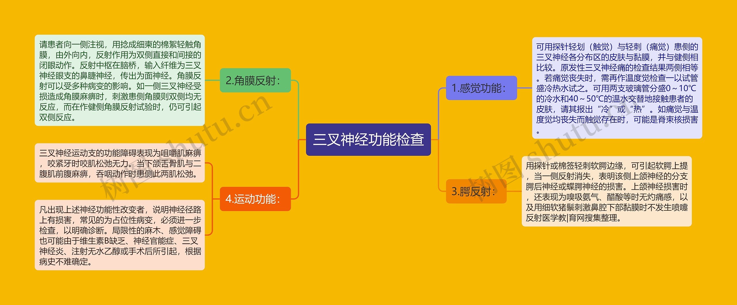 三叉神经功能检查思维导图