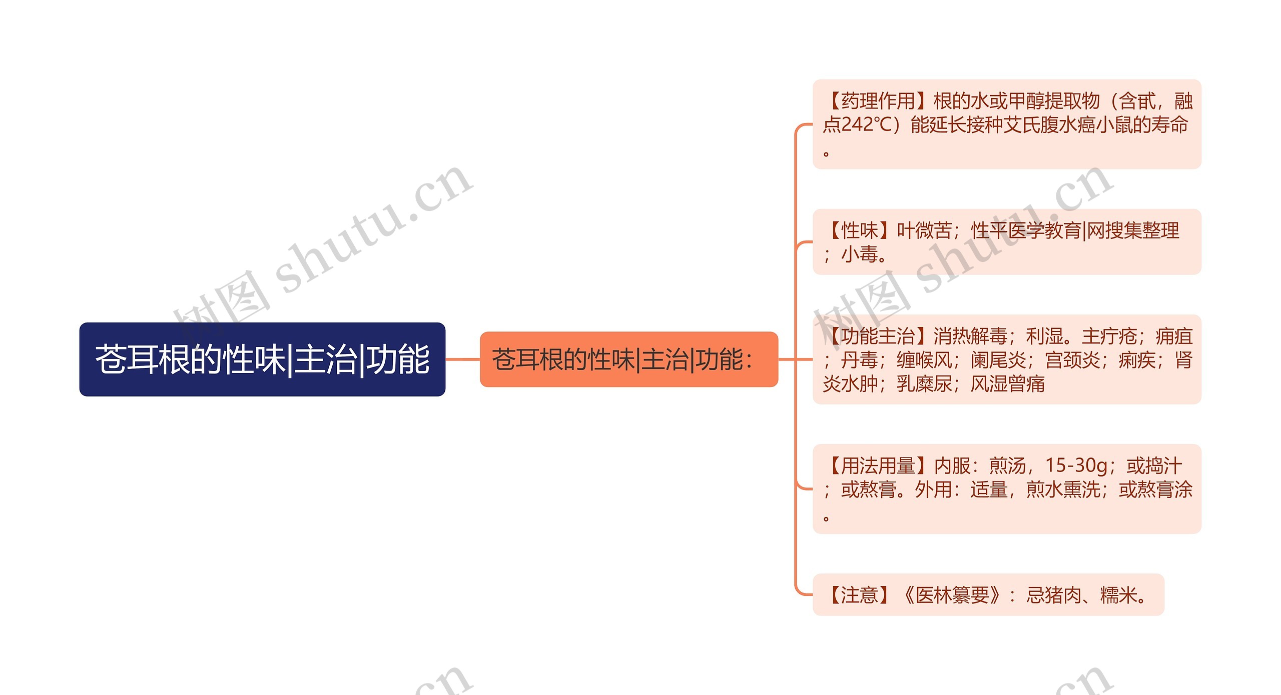 苍耳根的性味|主治|功能