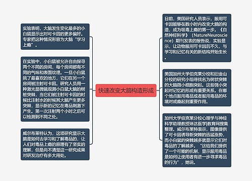 快速改变大脑构造形成