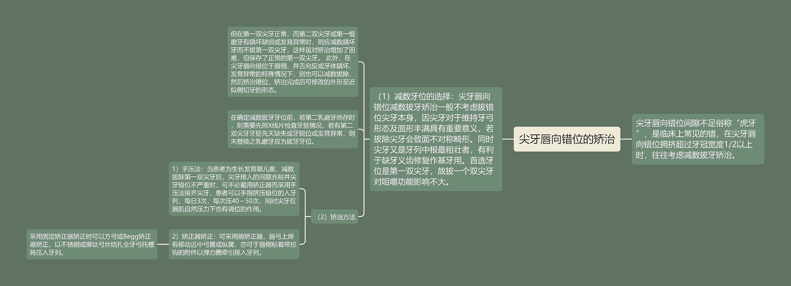 尖牙唇向错位的矫治