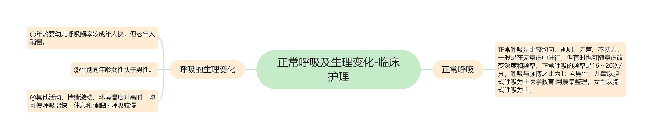 正常呼吸及生理变化-临床护理