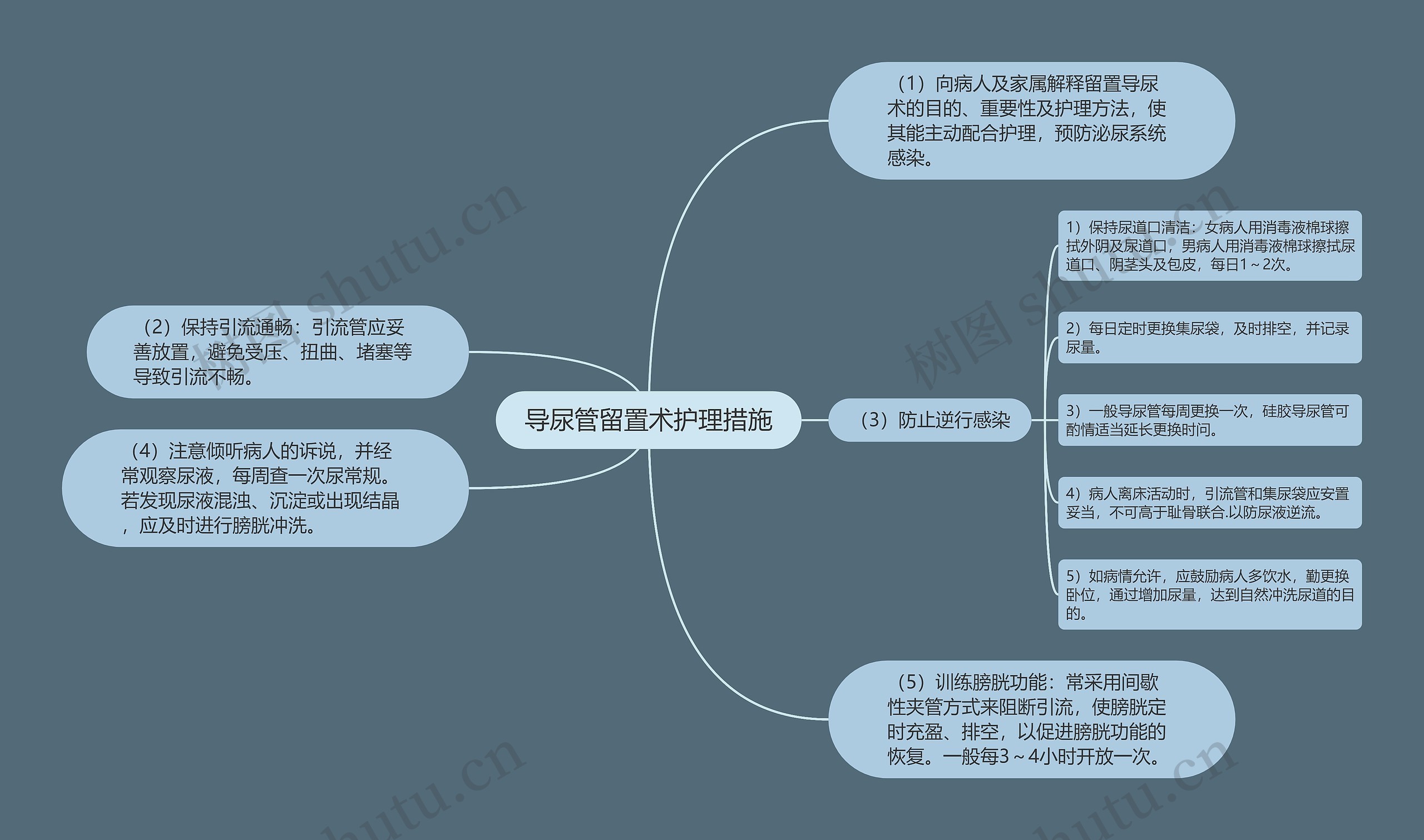 导尿管留置术护理措施思维导图