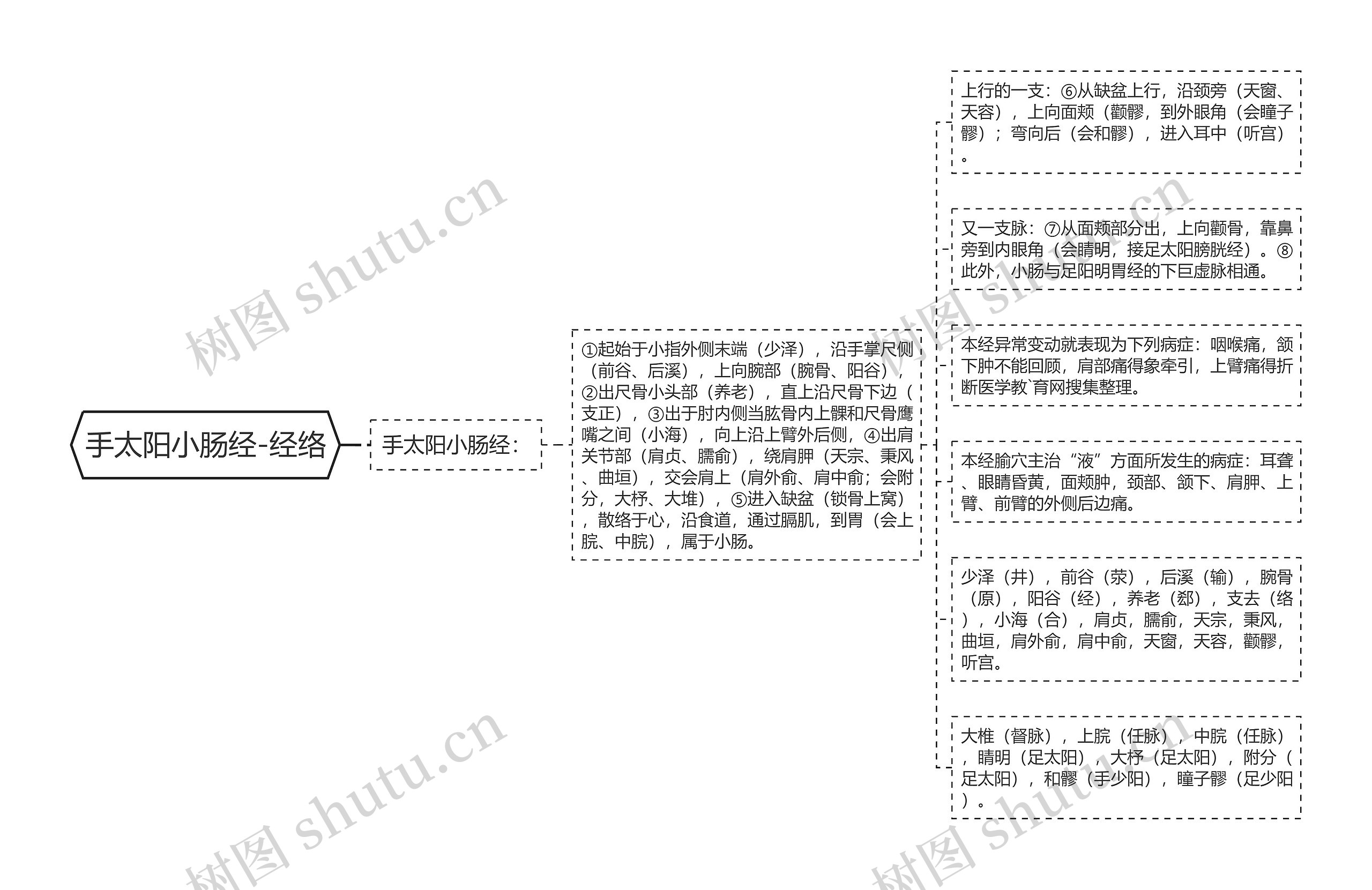 手太阳小肠经-经络思维导图