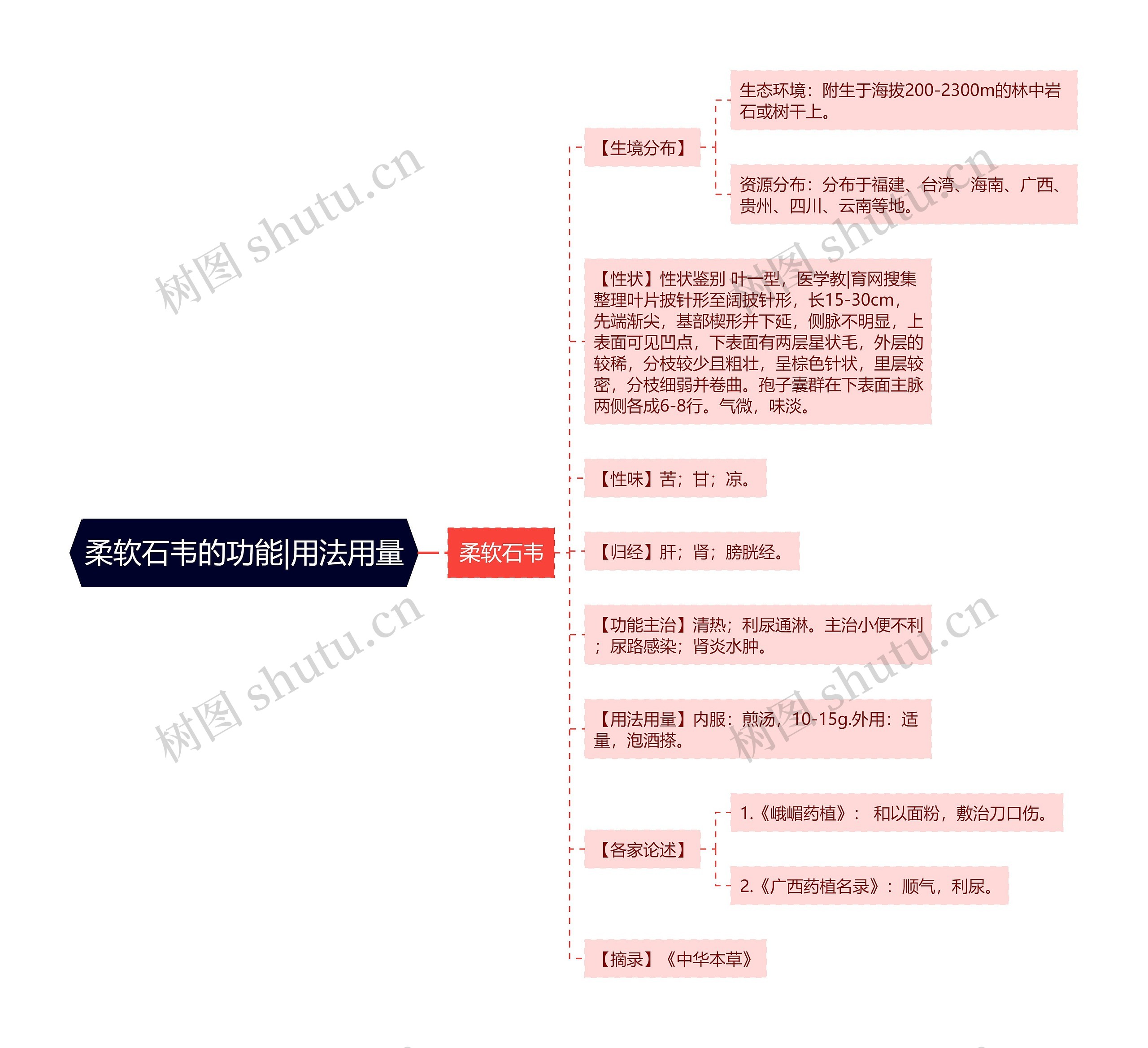 柔软石韦的功能|用法用量