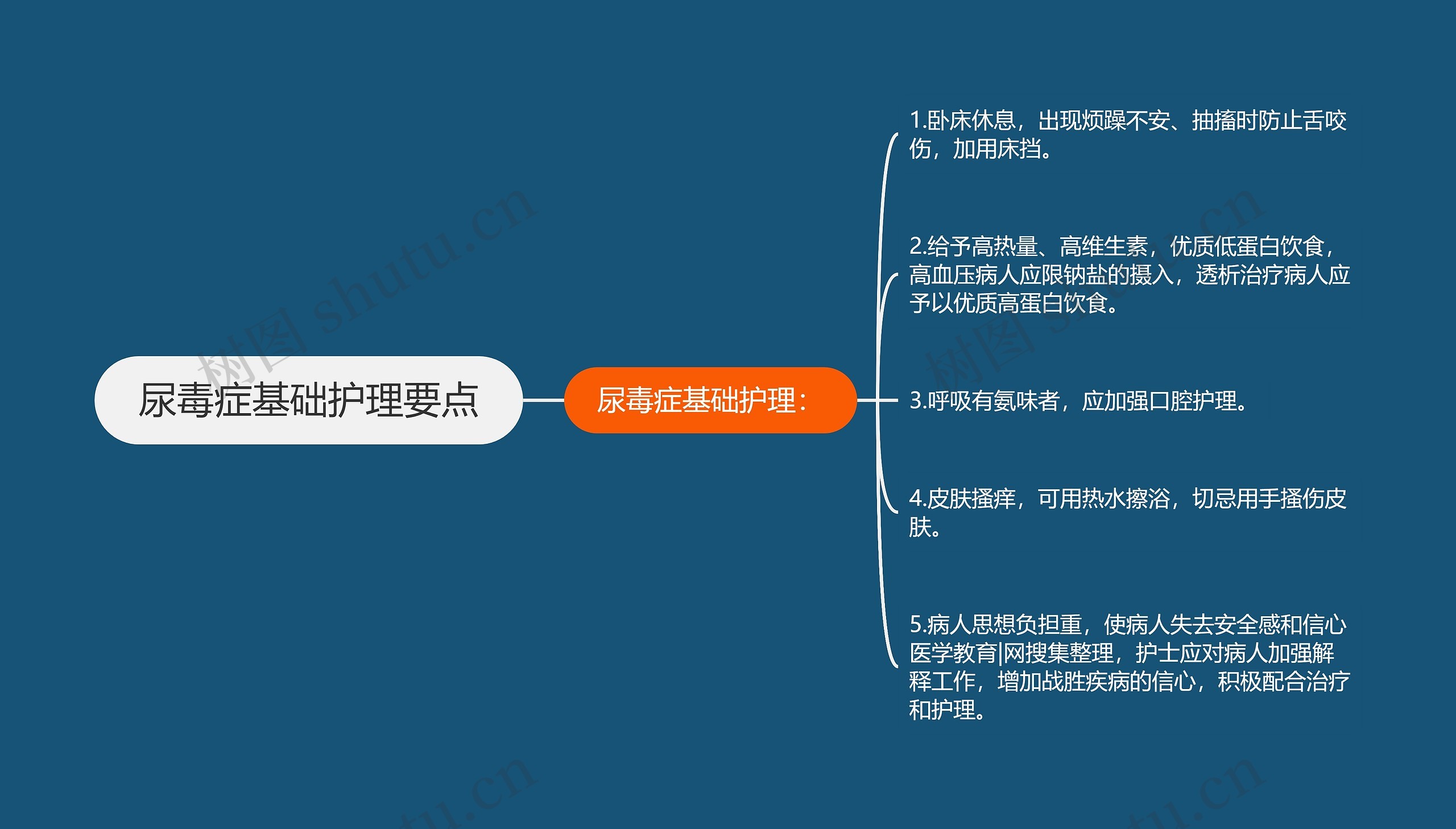 尿毒症基础护理要点思维导图