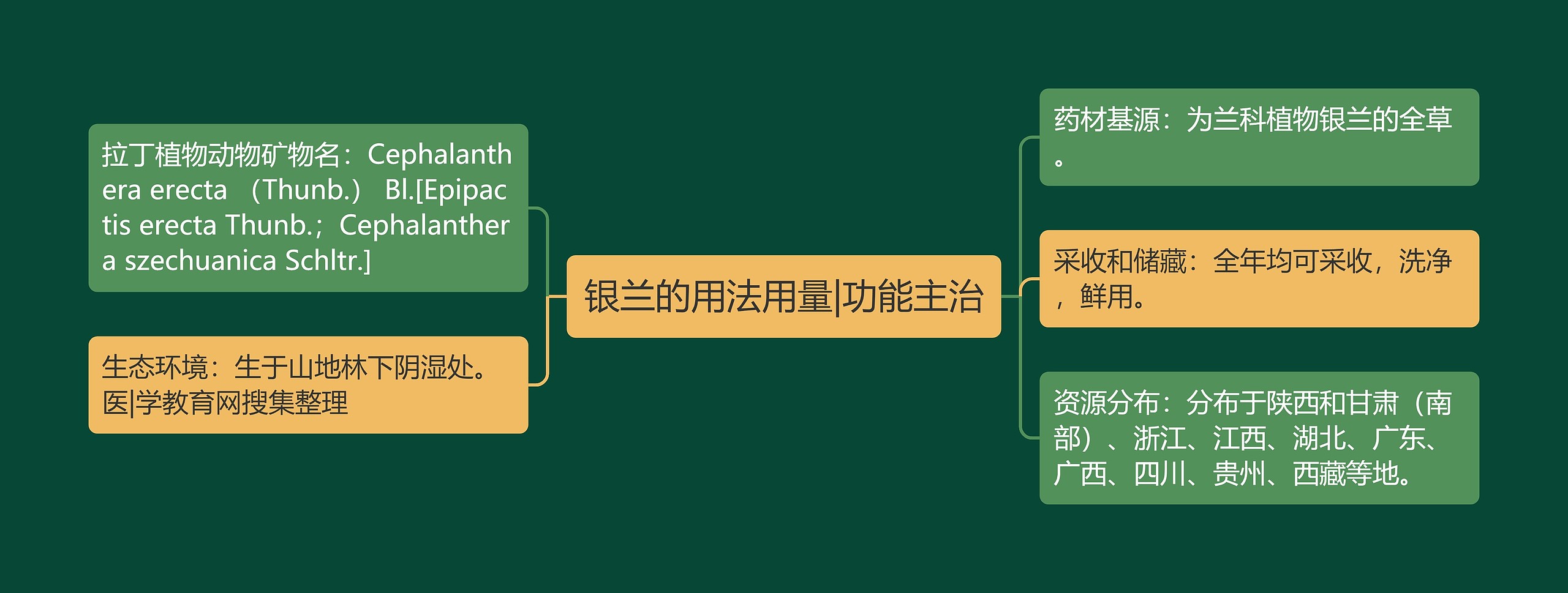 银兰的用法用量|功能主治