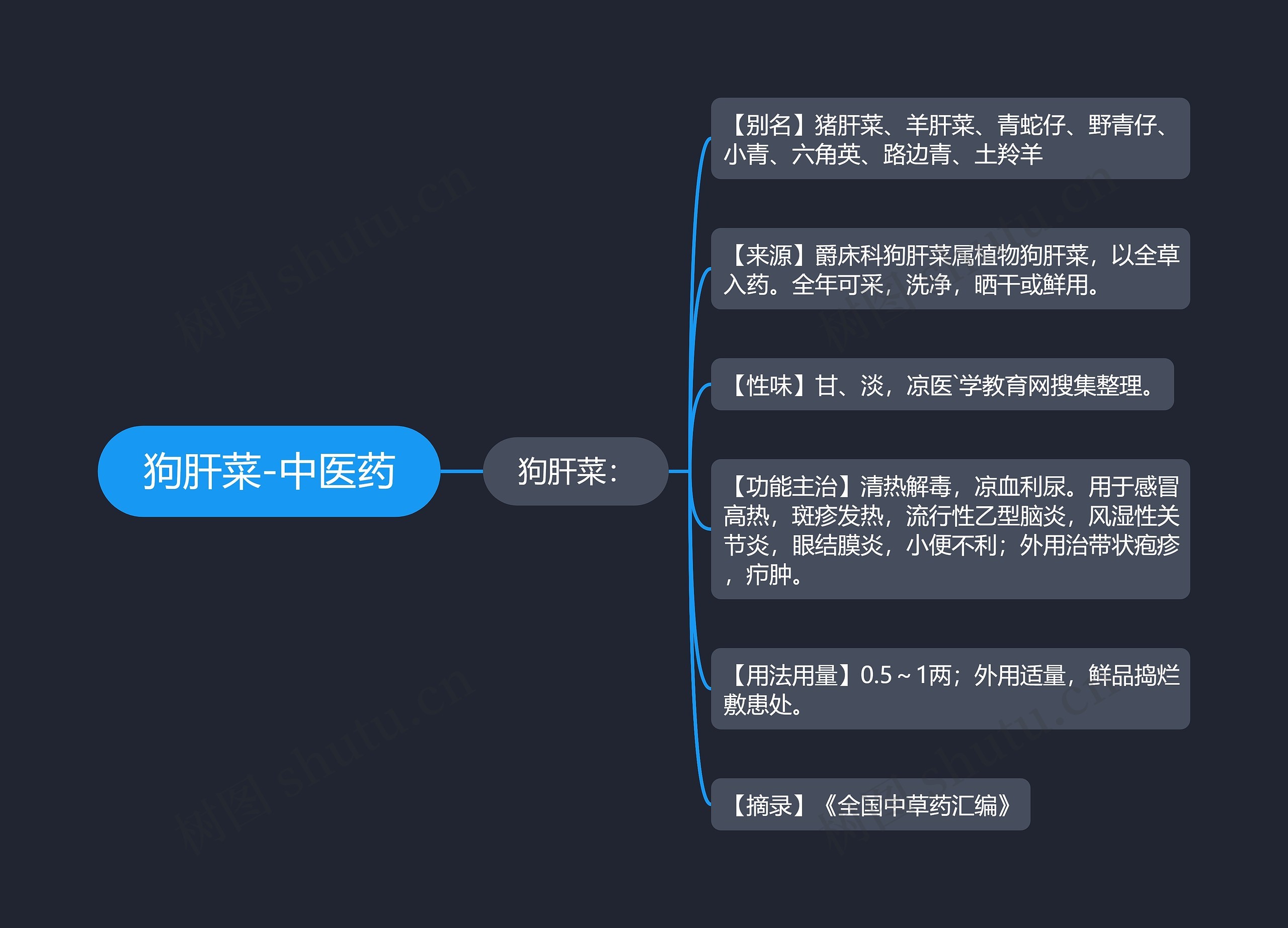 狗肝菜-中医药 狗肝菜-中医药