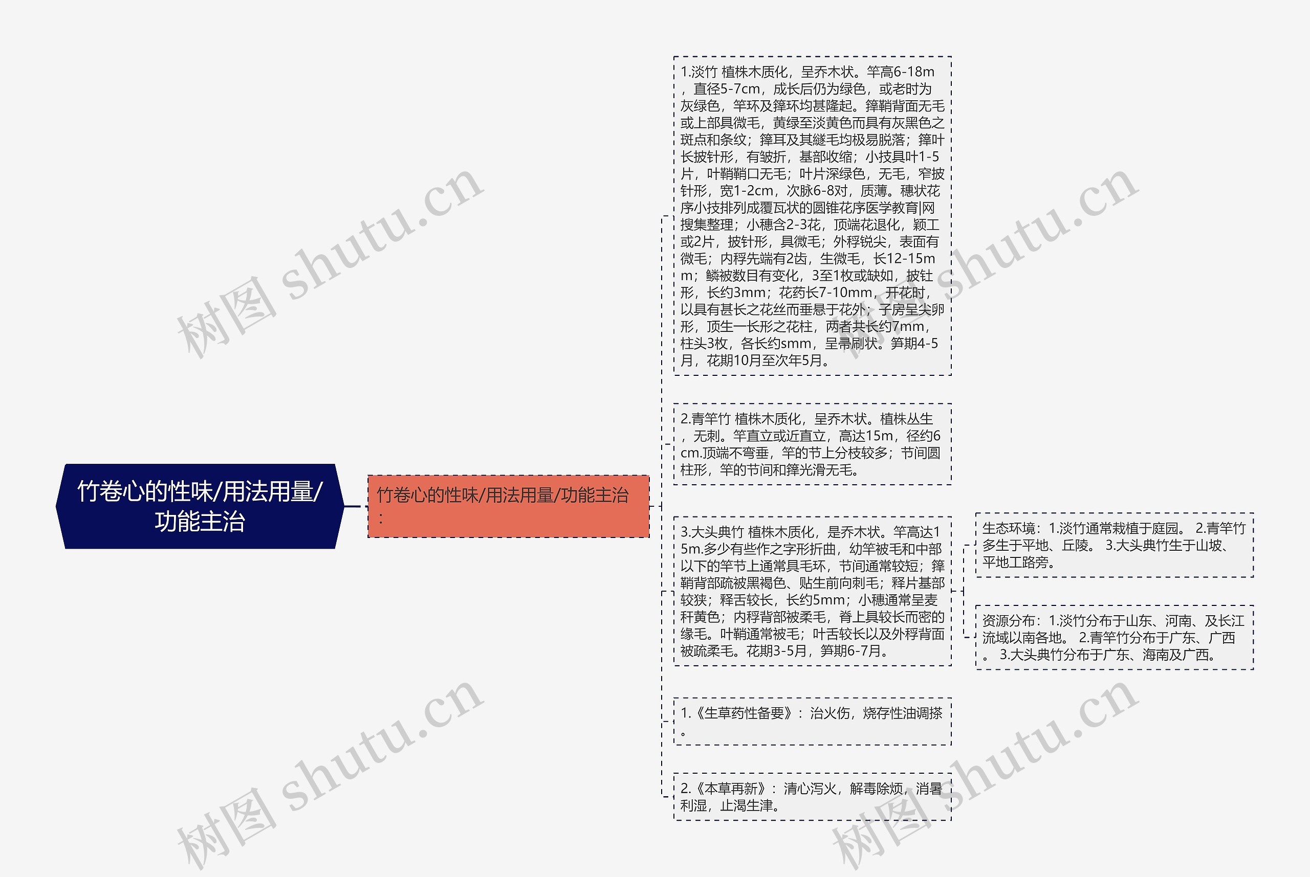 竹卷心的性味/用法用量/功能主治思维导图