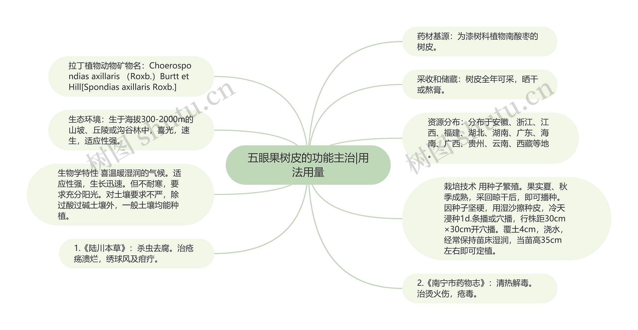 五眼果树皮的功能主治|用法用量思维导图