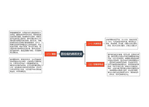 圆柱瘤的病理改变