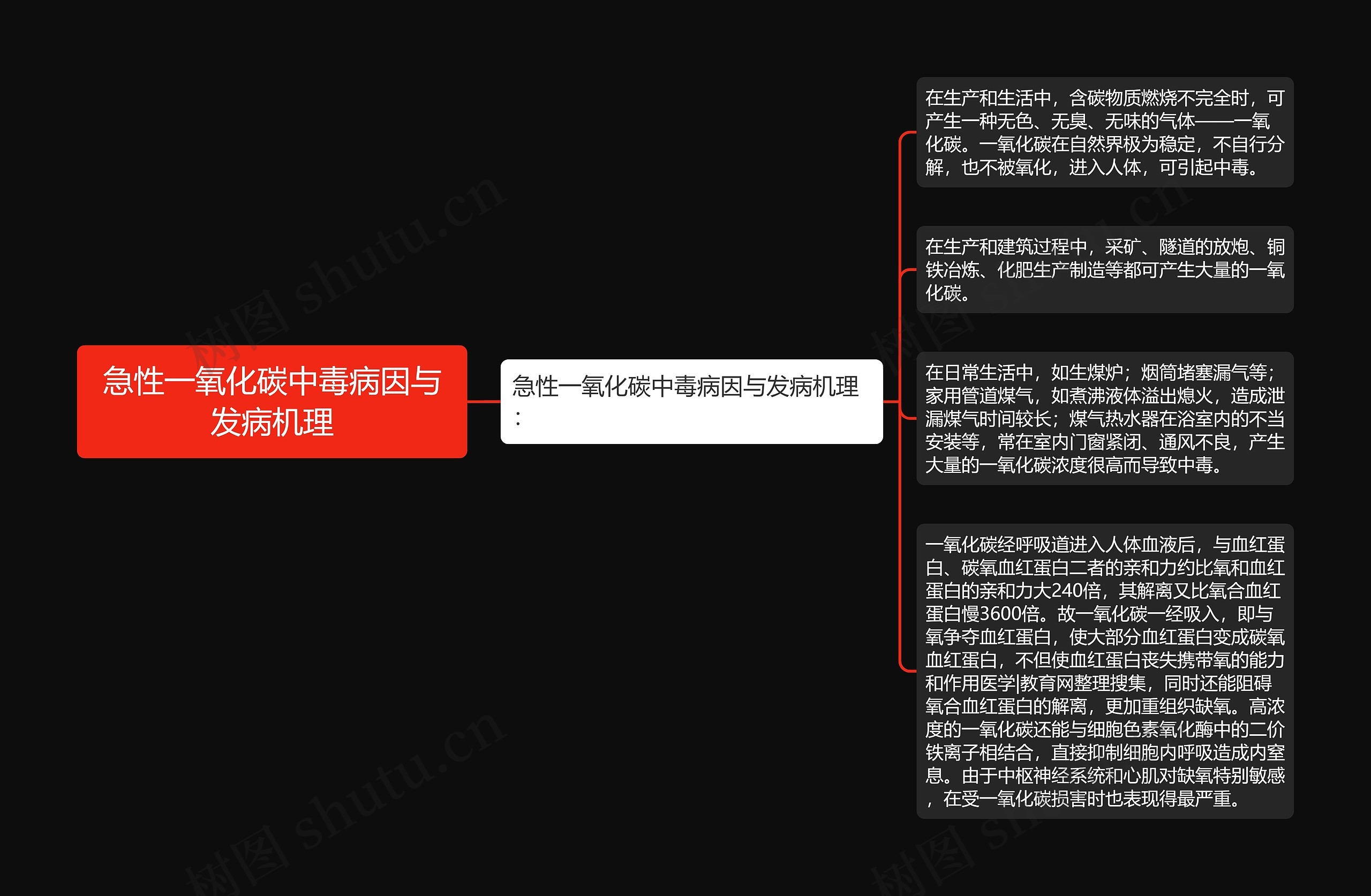 急性一氧化碳中毒病因与发病机理思维导图