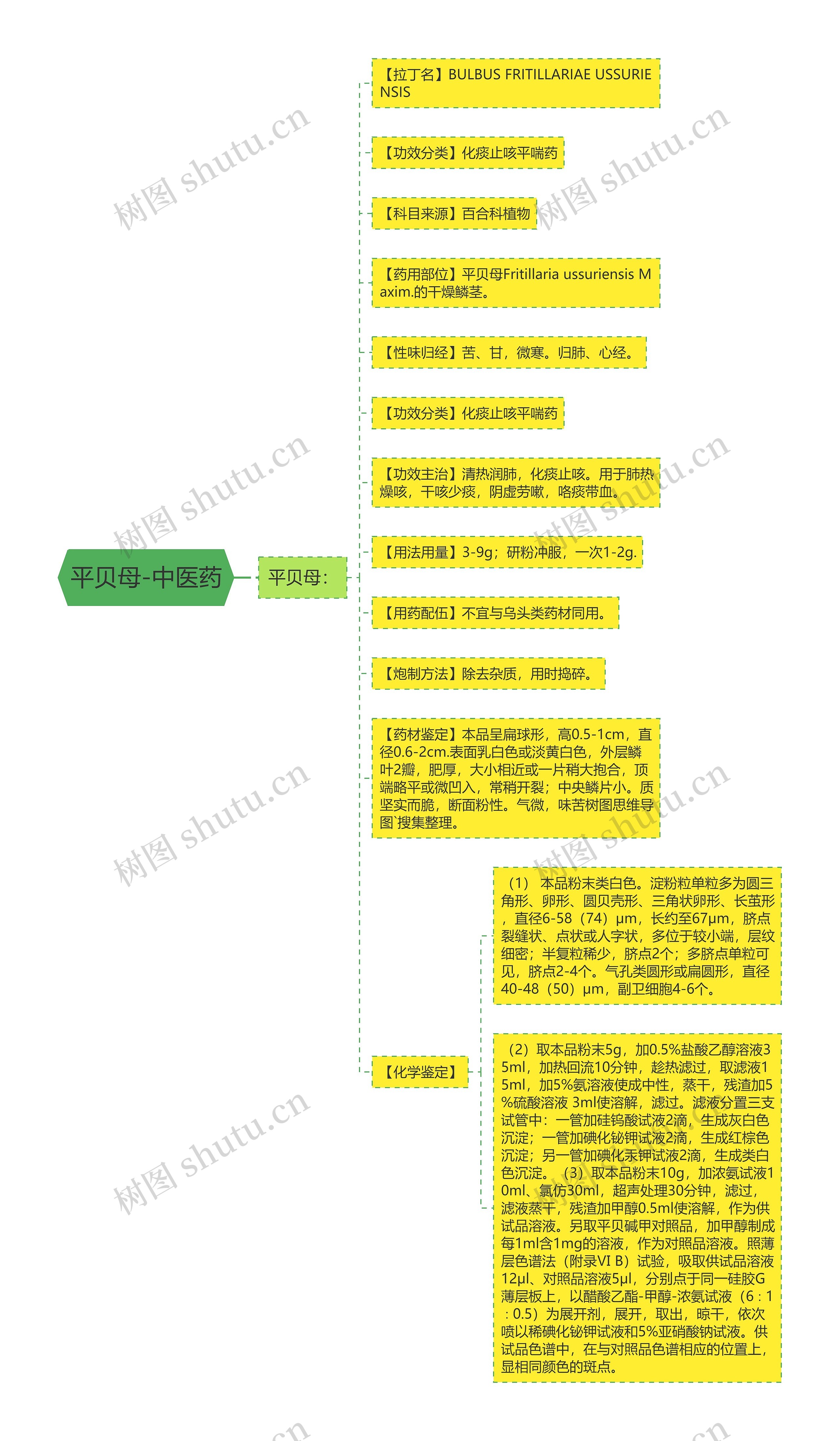 平贝母-中医药思维导图