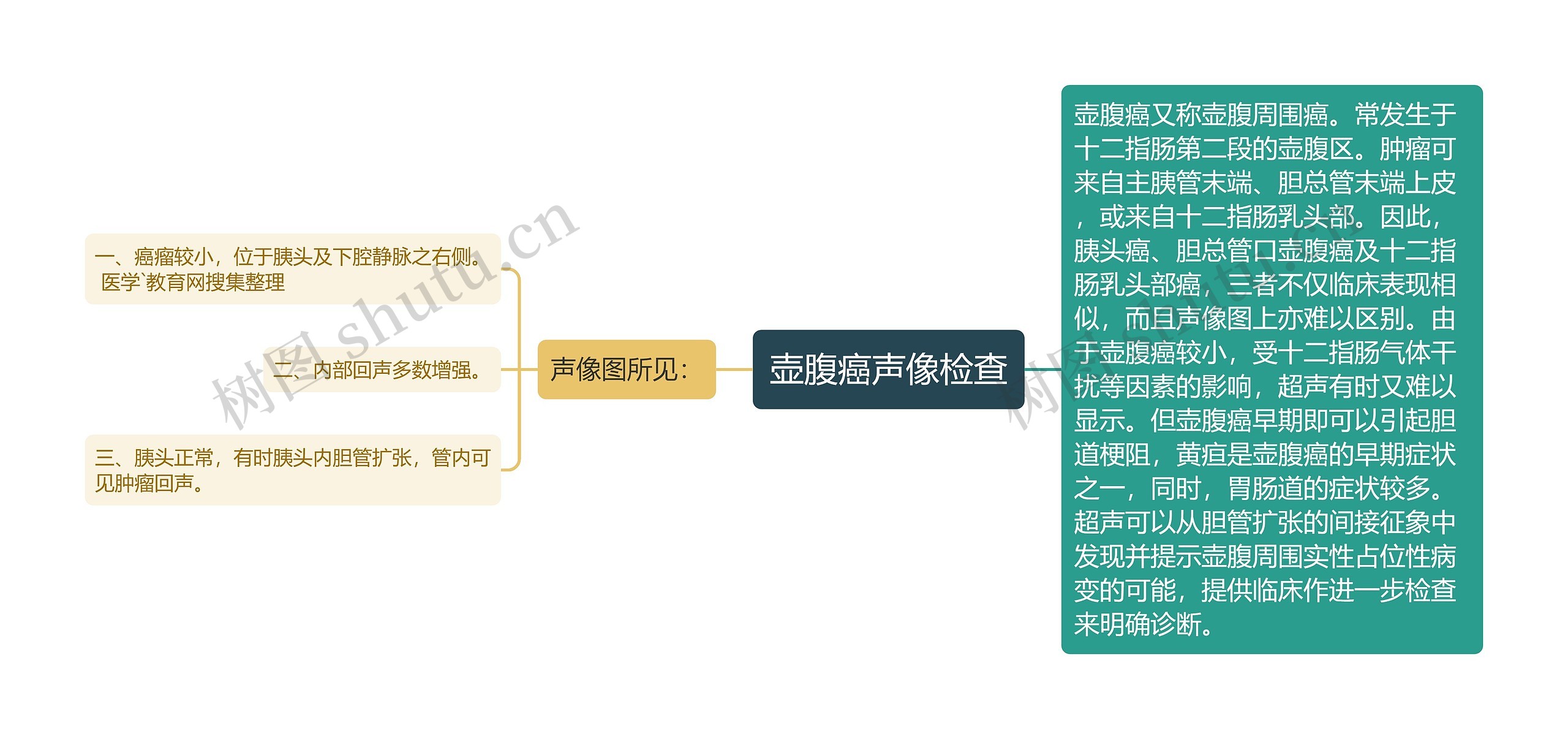 壶腹癌声像检查