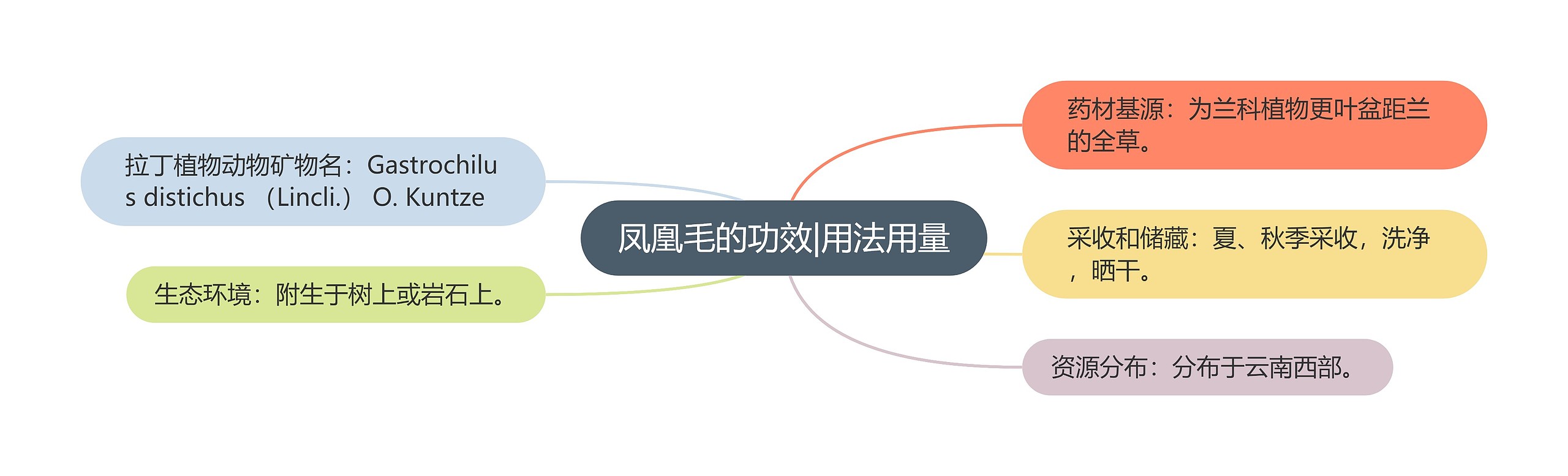 凤凰毛的功效|用法用量 凤凰毛的功效|用法用量