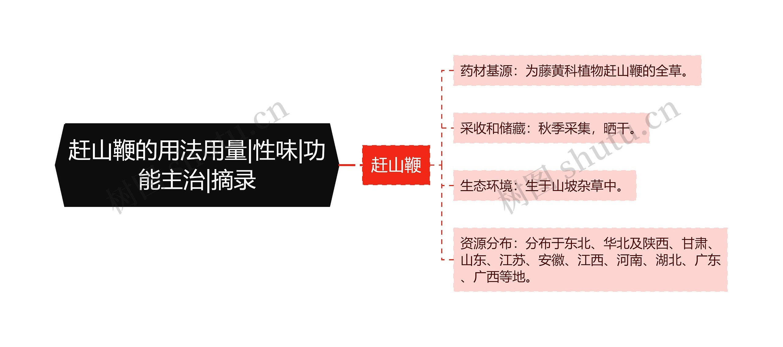 赶山鞭的用法用量|性味|功能主治|摘录思维导图