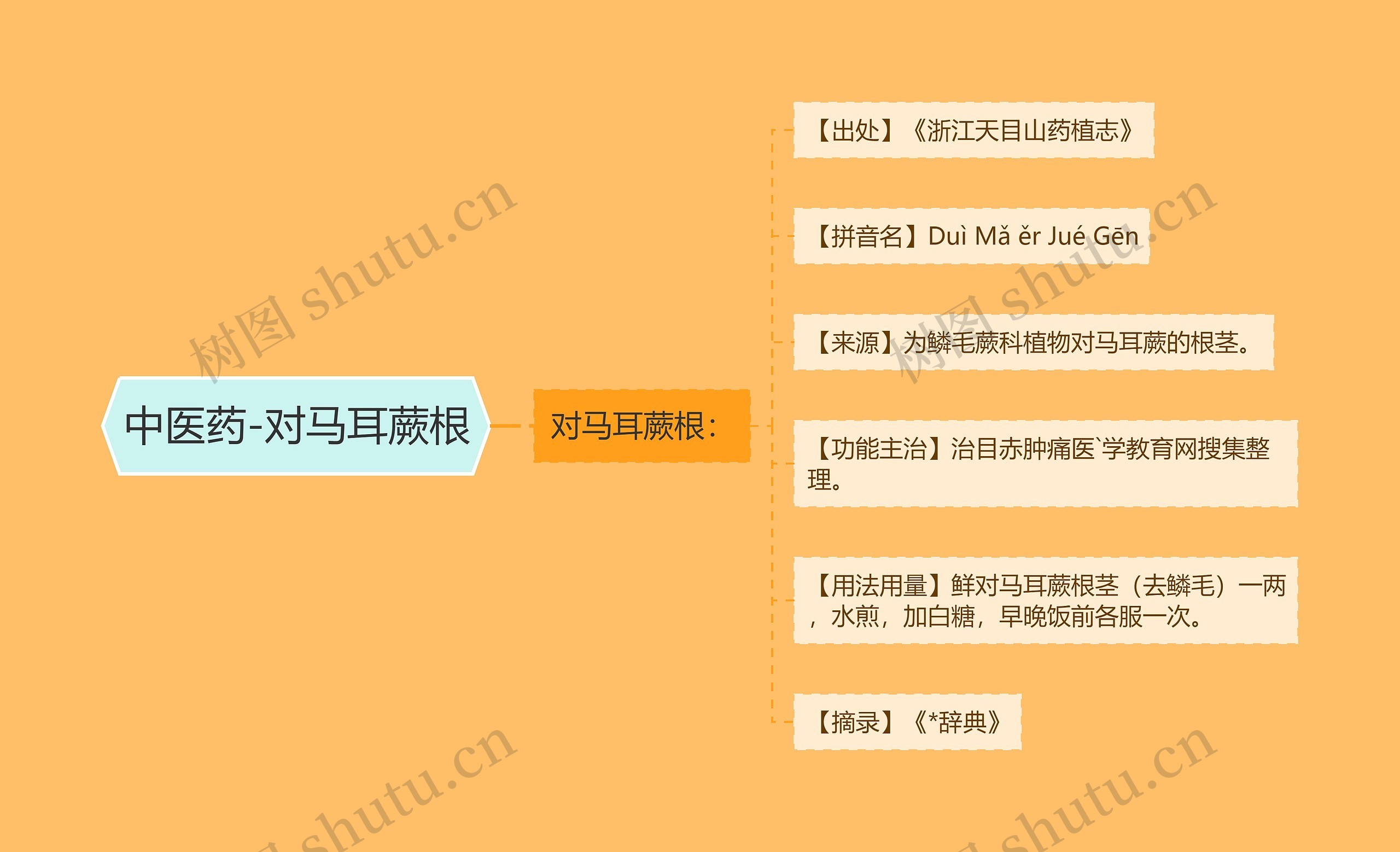 中医药-对马耳蕨根思维导图